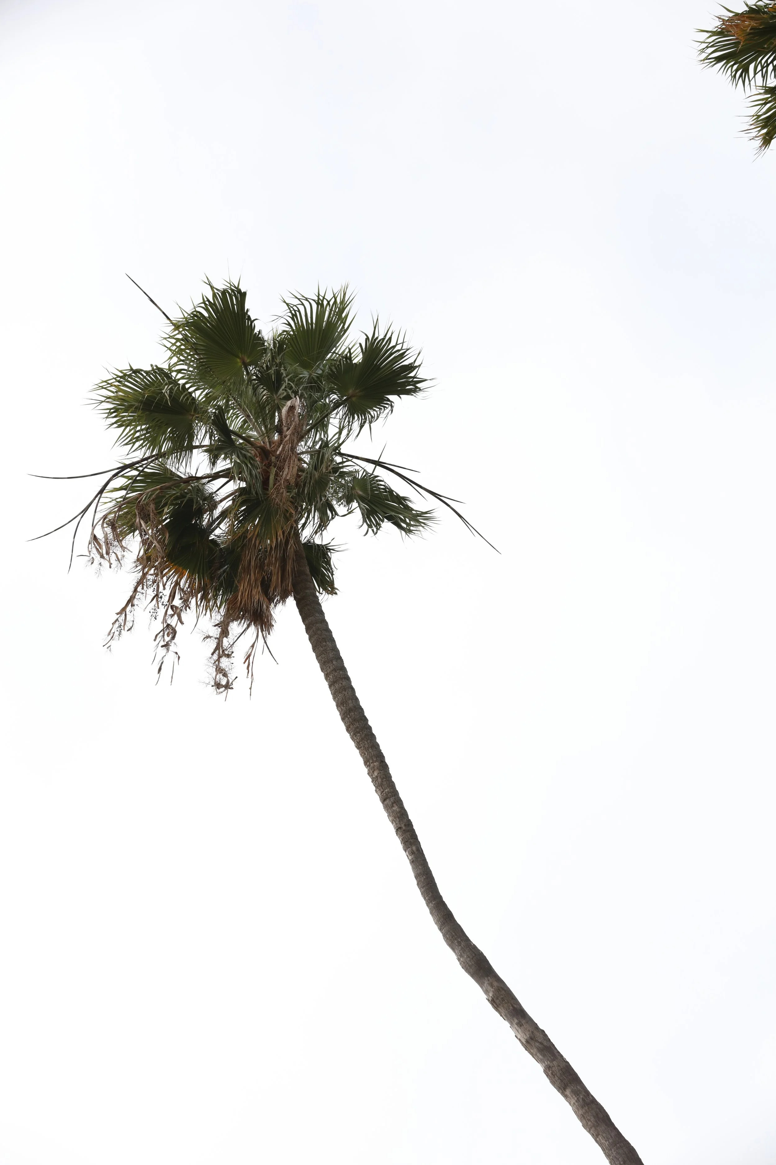 010618_SyncLyte_053.JPG