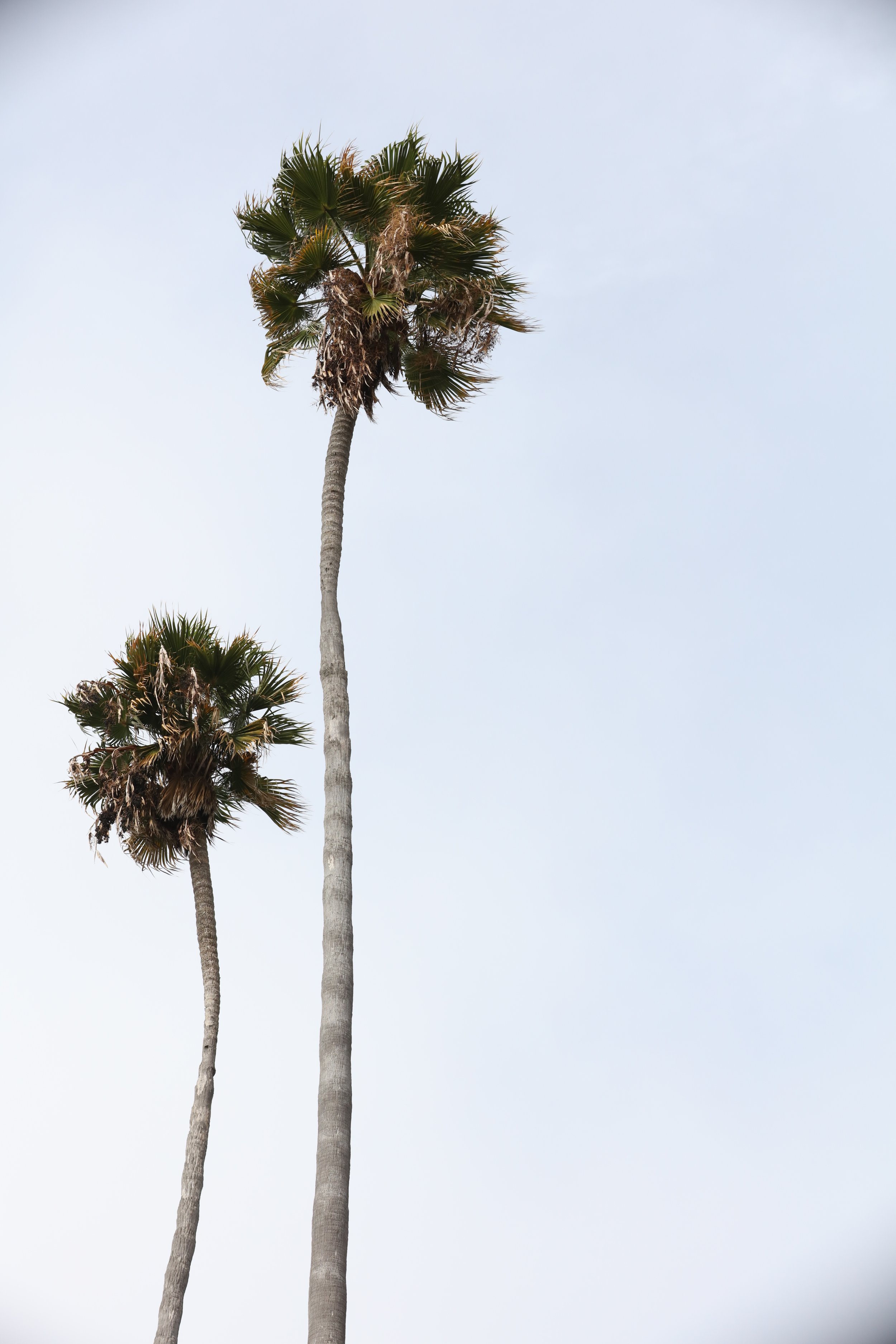 010618_SyncLyte_056.JPG