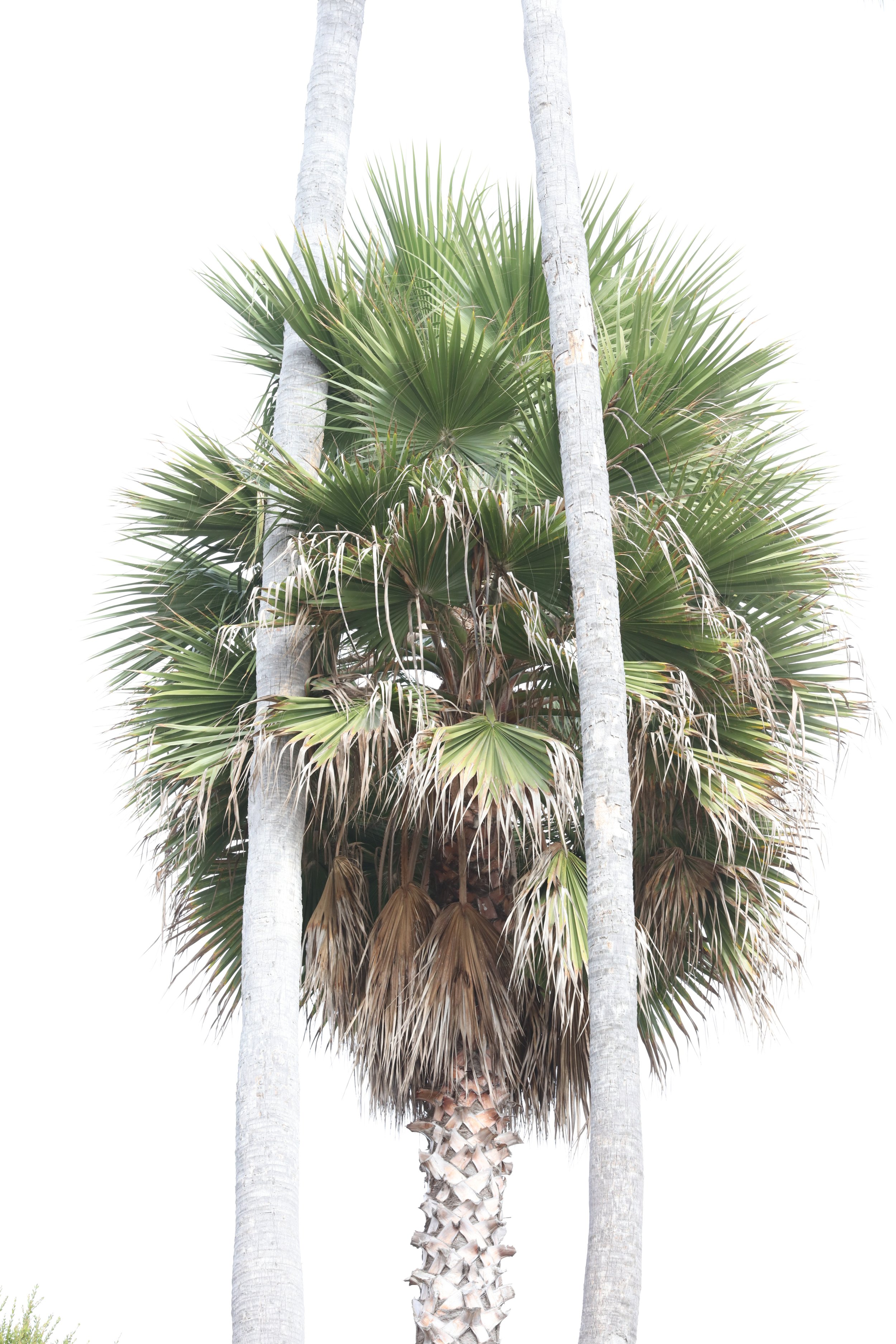 010618_SyncLyte_060.JPG