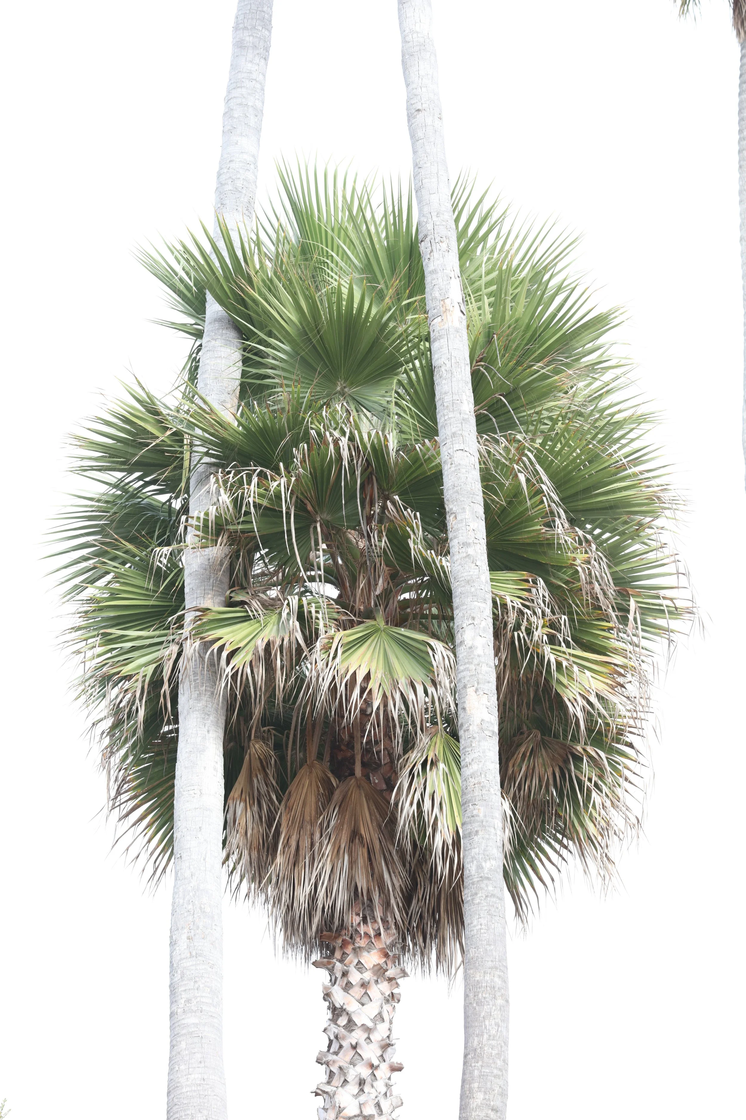 010618_SyncLyte_061.JPG
