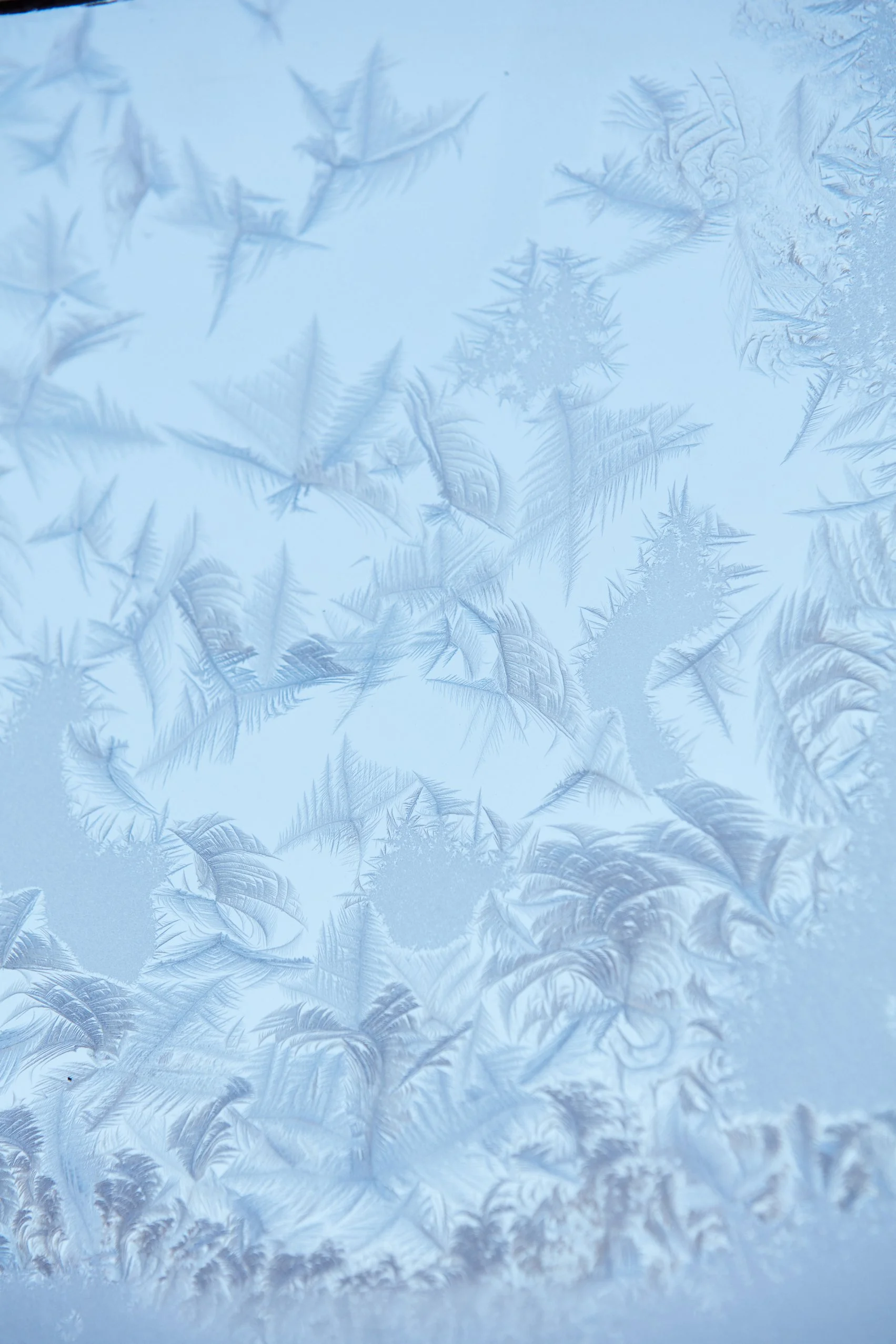 SyncLyte_IceCrystals_011218_015 1 1.jpg
