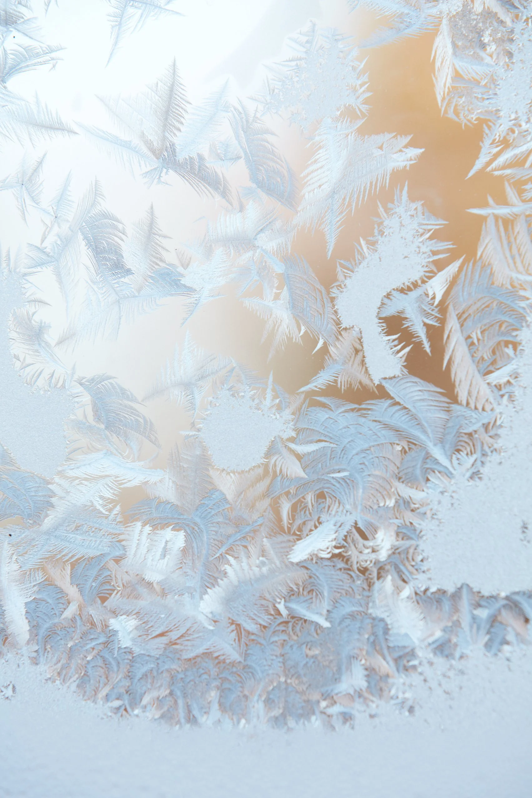 SyncLyte_IceCrystals_011218_012 1 1.jpg