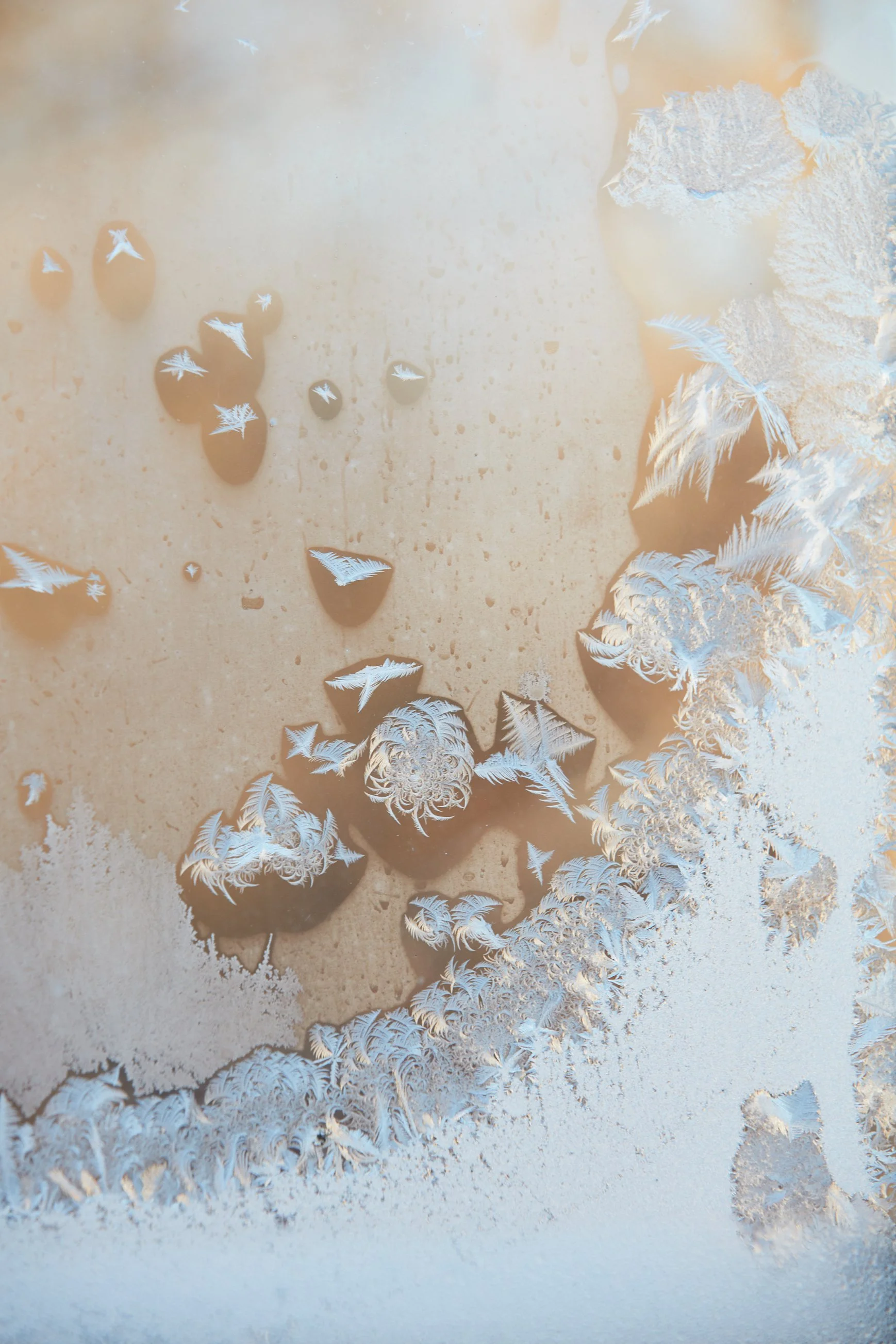 SyncLyte_IceCrystals_011218_025 1.jpg