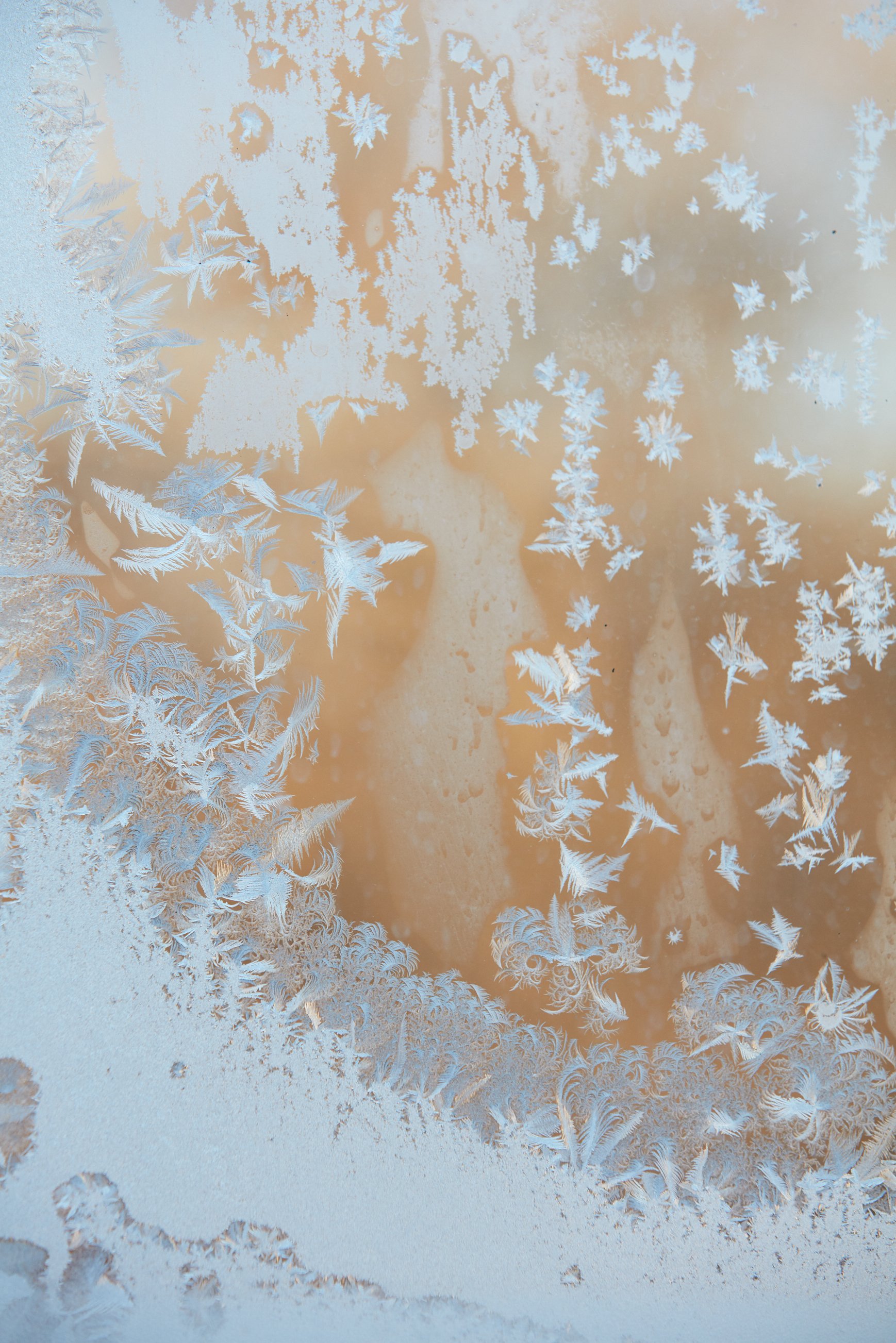 SyncLyte_IceCrystals_011218_028 1.jpg