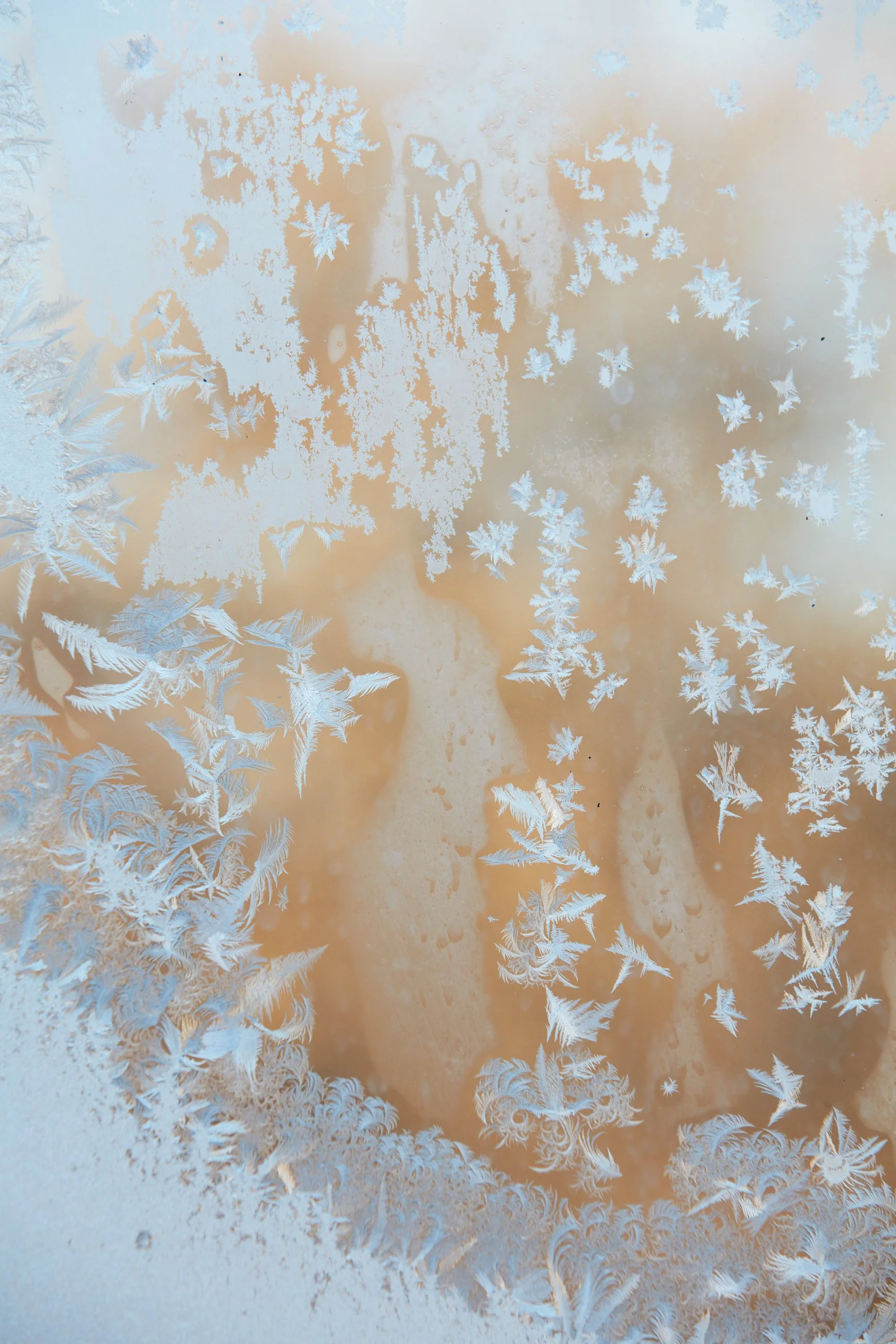 SyncLyte_IceCrystals_011218_030 1 1.jpg