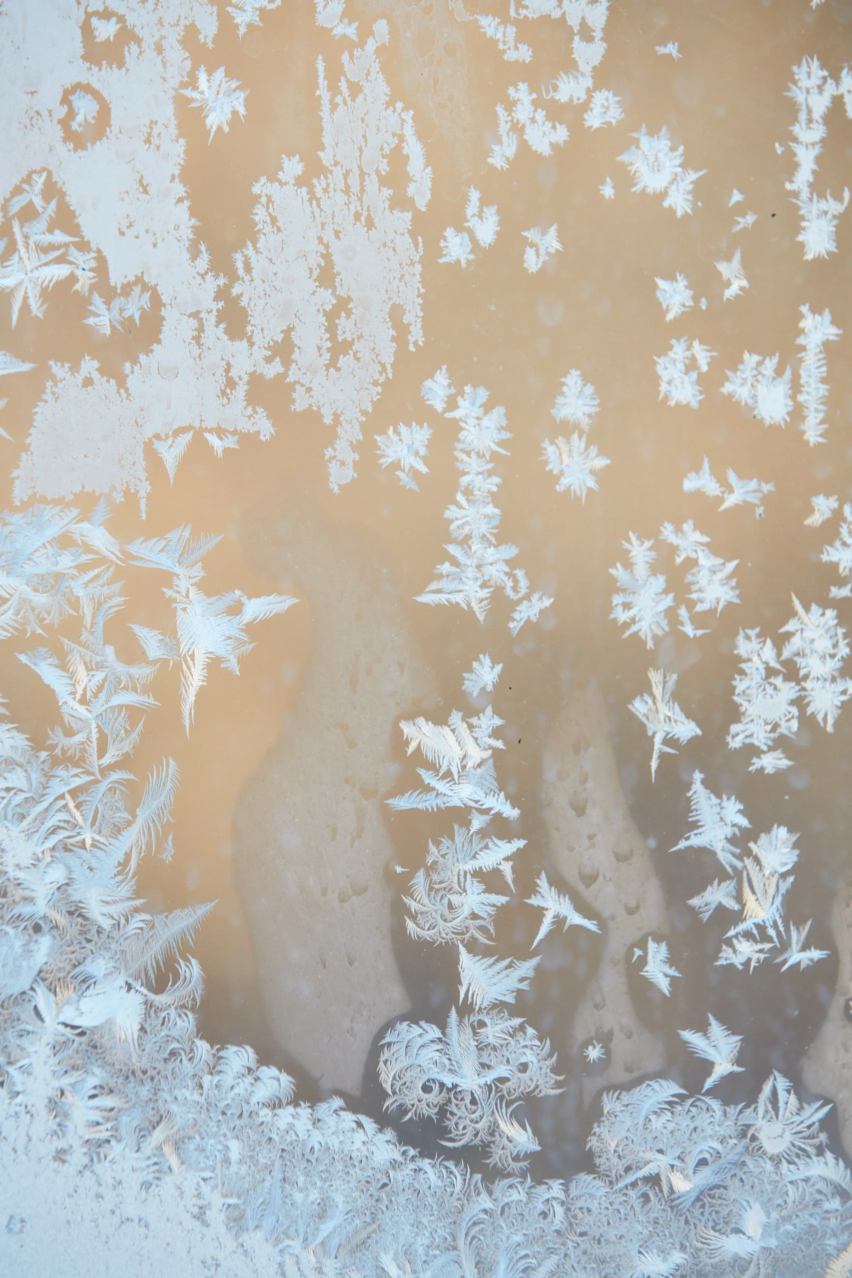 SyncLyte_IceCrystals_011218_044 1.jpg