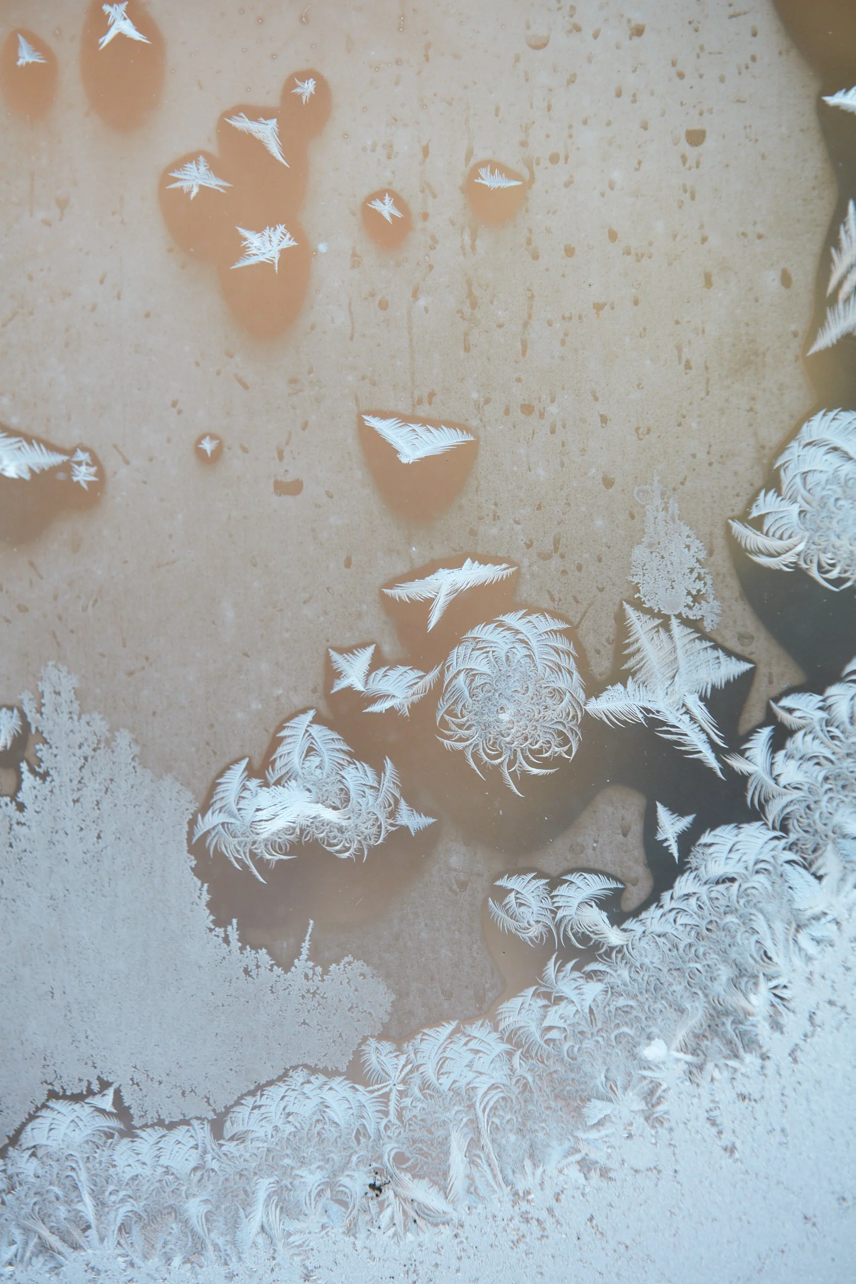 SyncLyte_IceCrystals_011218_045 1 1.jpg