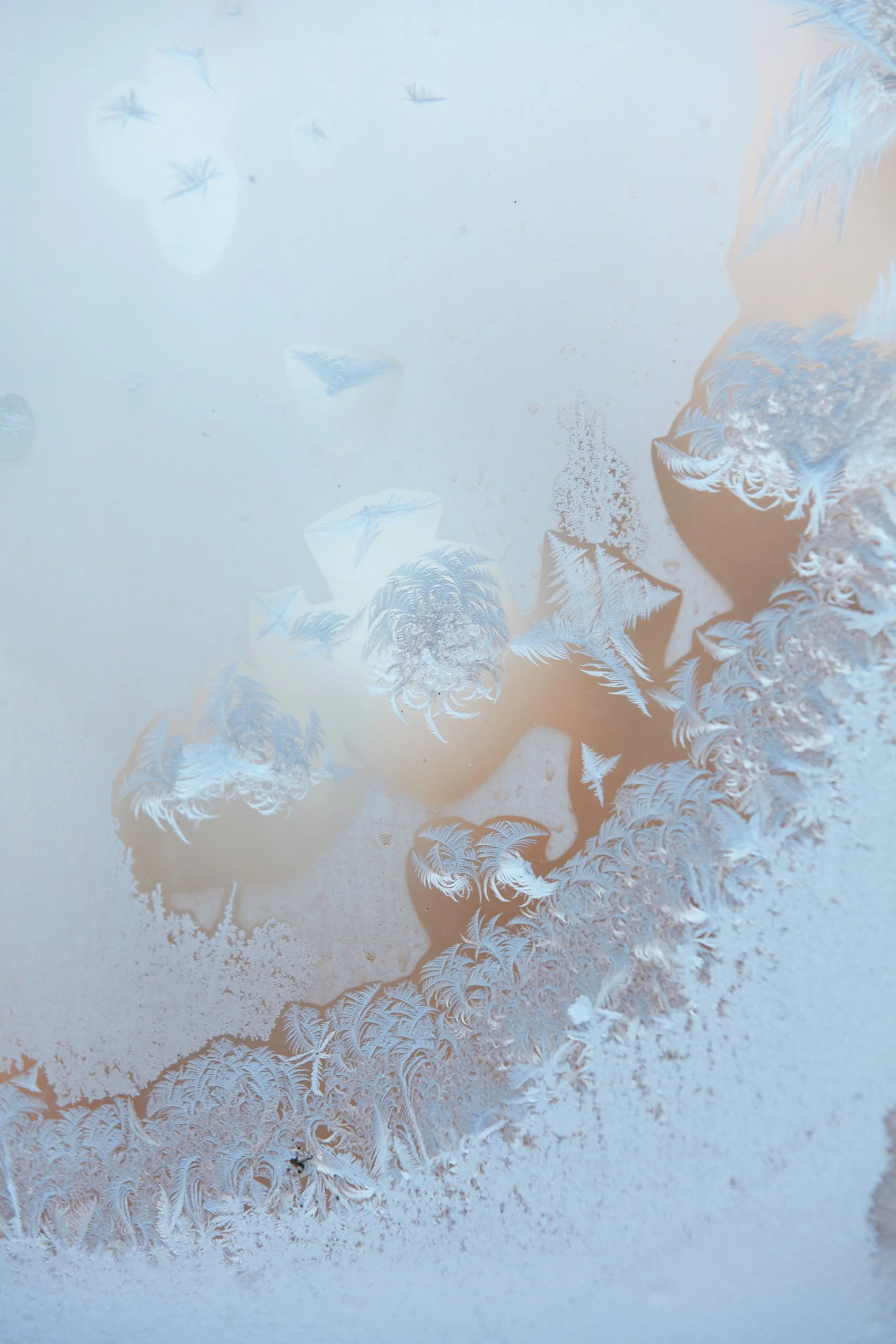 SyncLyte_IceCrystals_011218_048 1 1.jpg