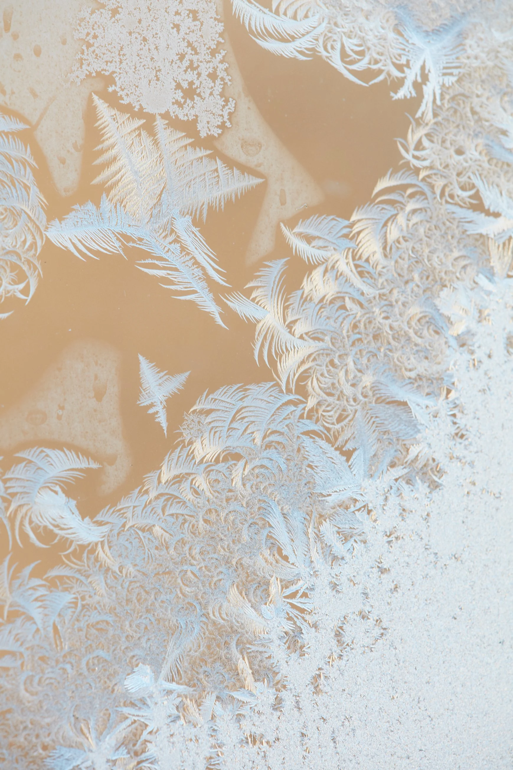 SyncLyte_IceCrystals_011218_064 1 1.jpg