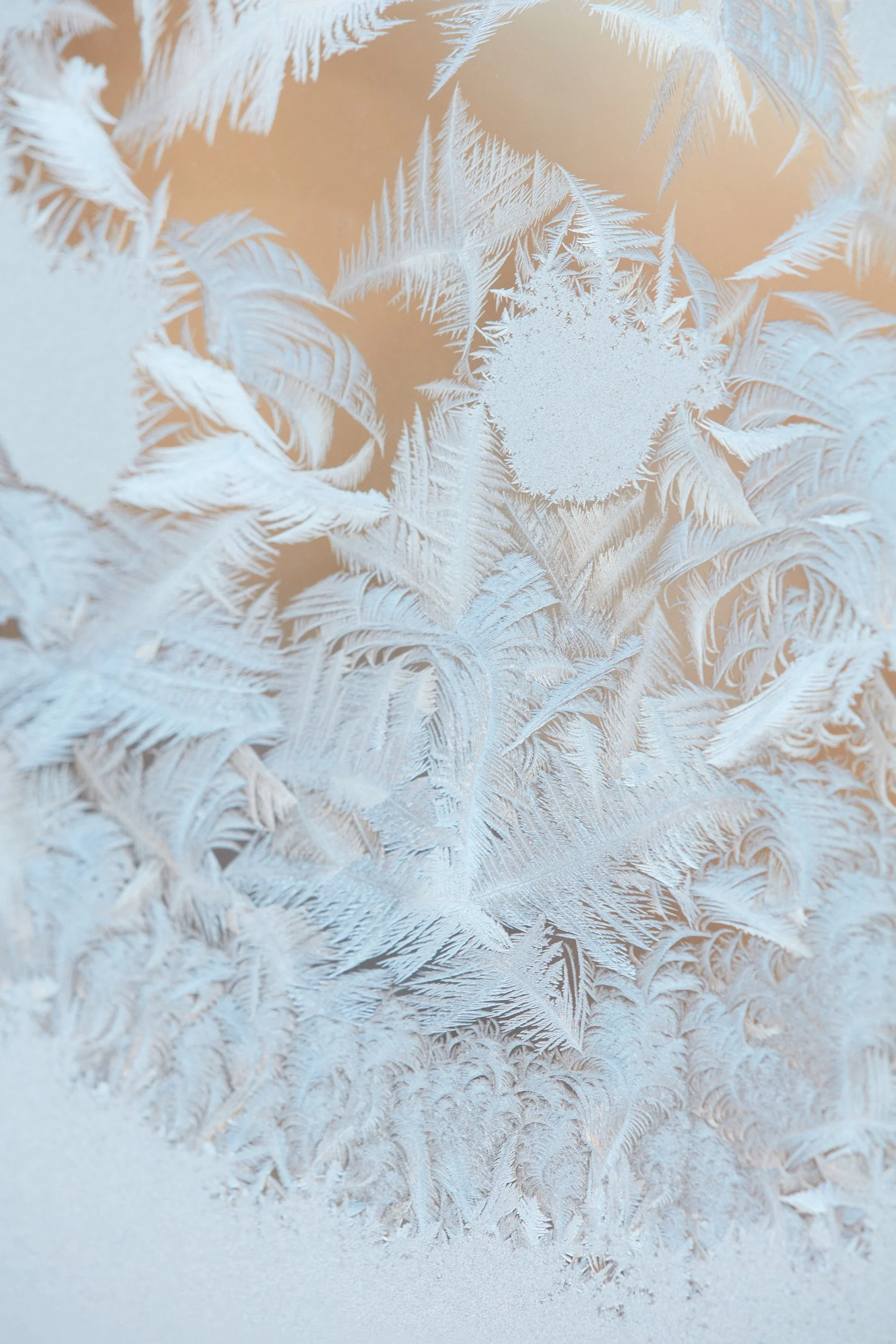 SyncLyte_IceCrystals_011218_074 1 1.jpg