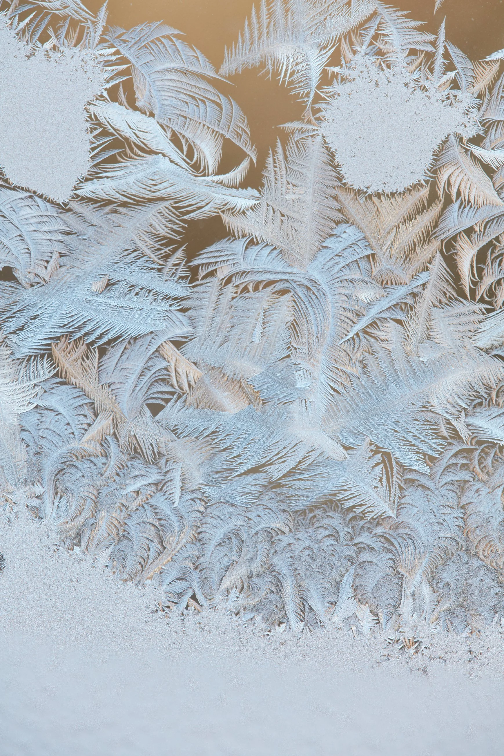 SyncLyte_IceCrystals_011218_059 1.jpg