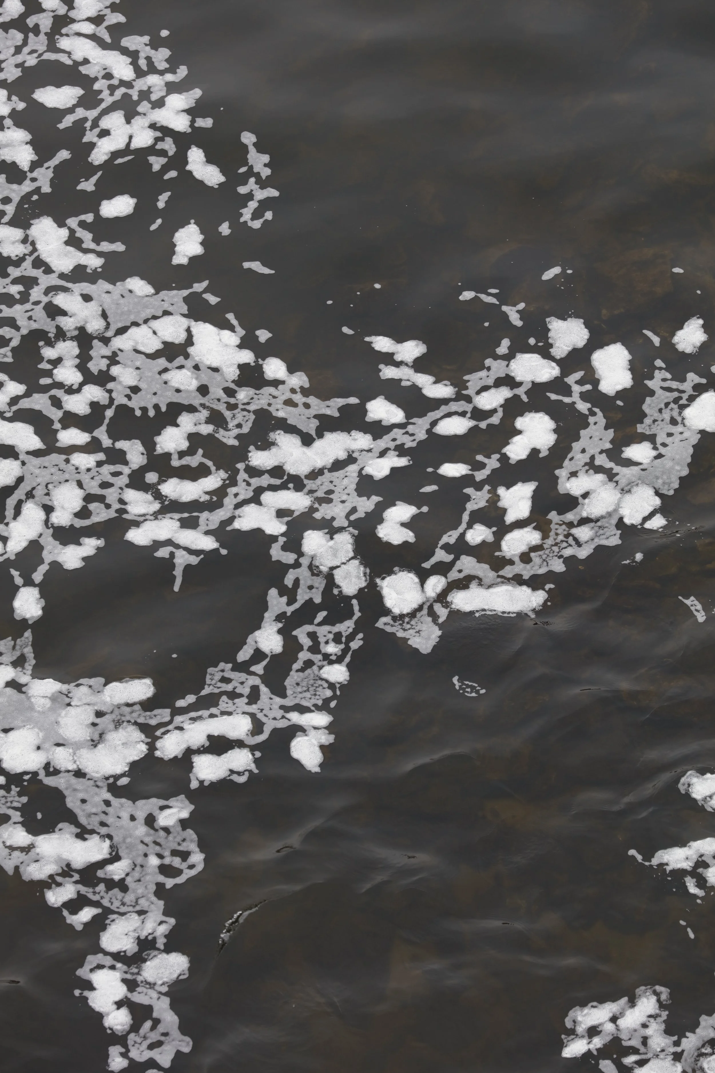 021116_SyncLyte_072.JPG