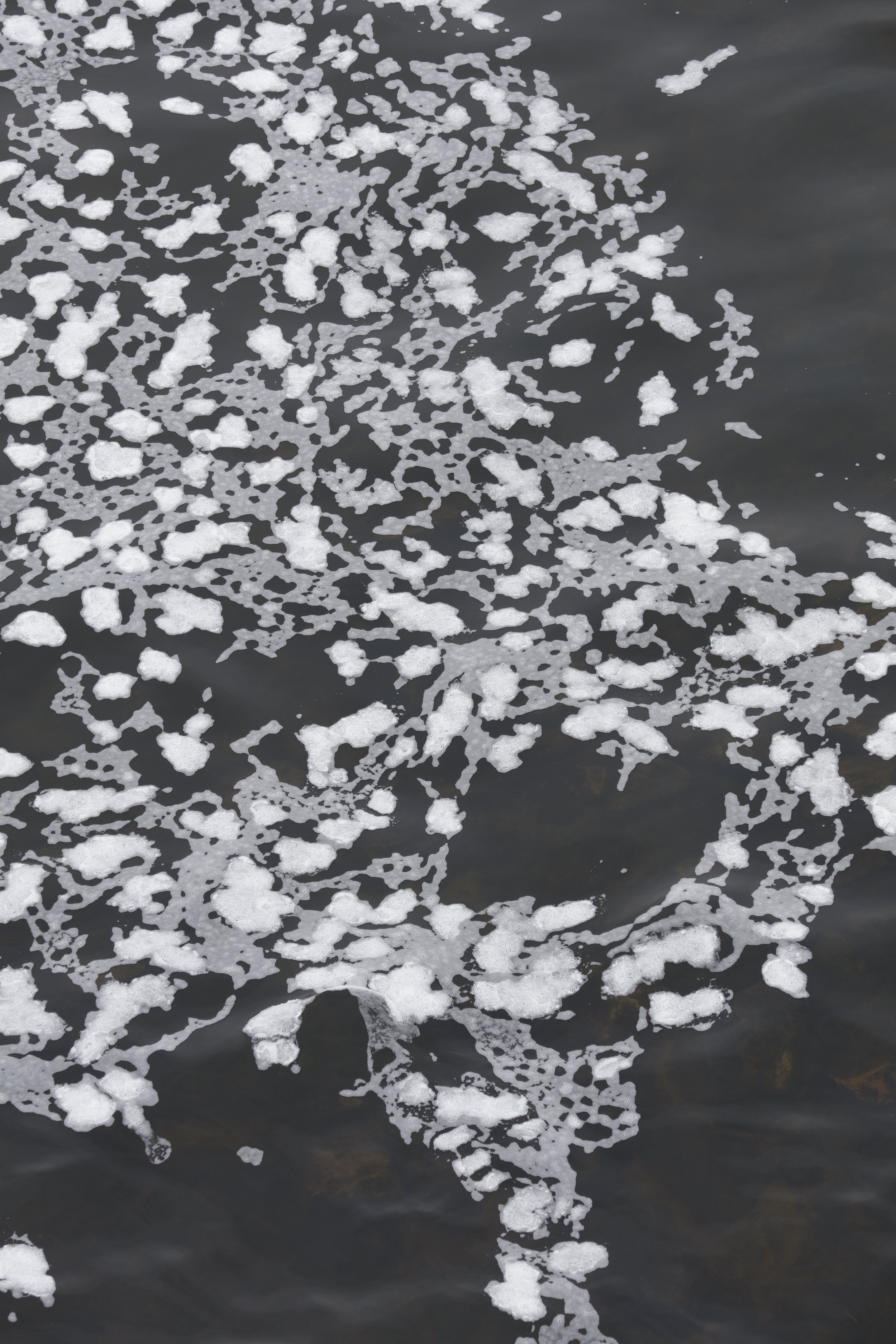 021116_SyncLyte_071.JPG