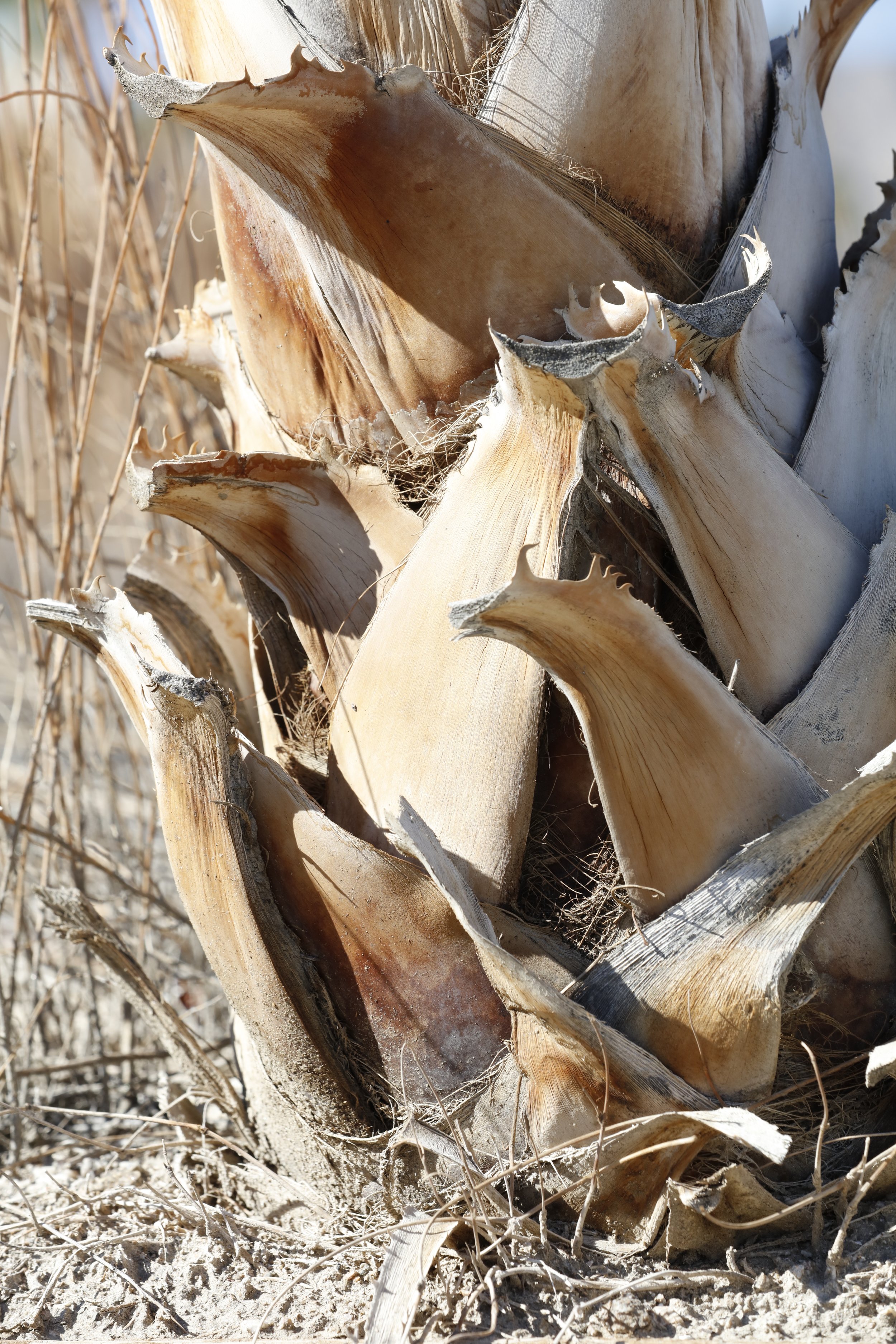 022016_SyncLyte_050.JPG