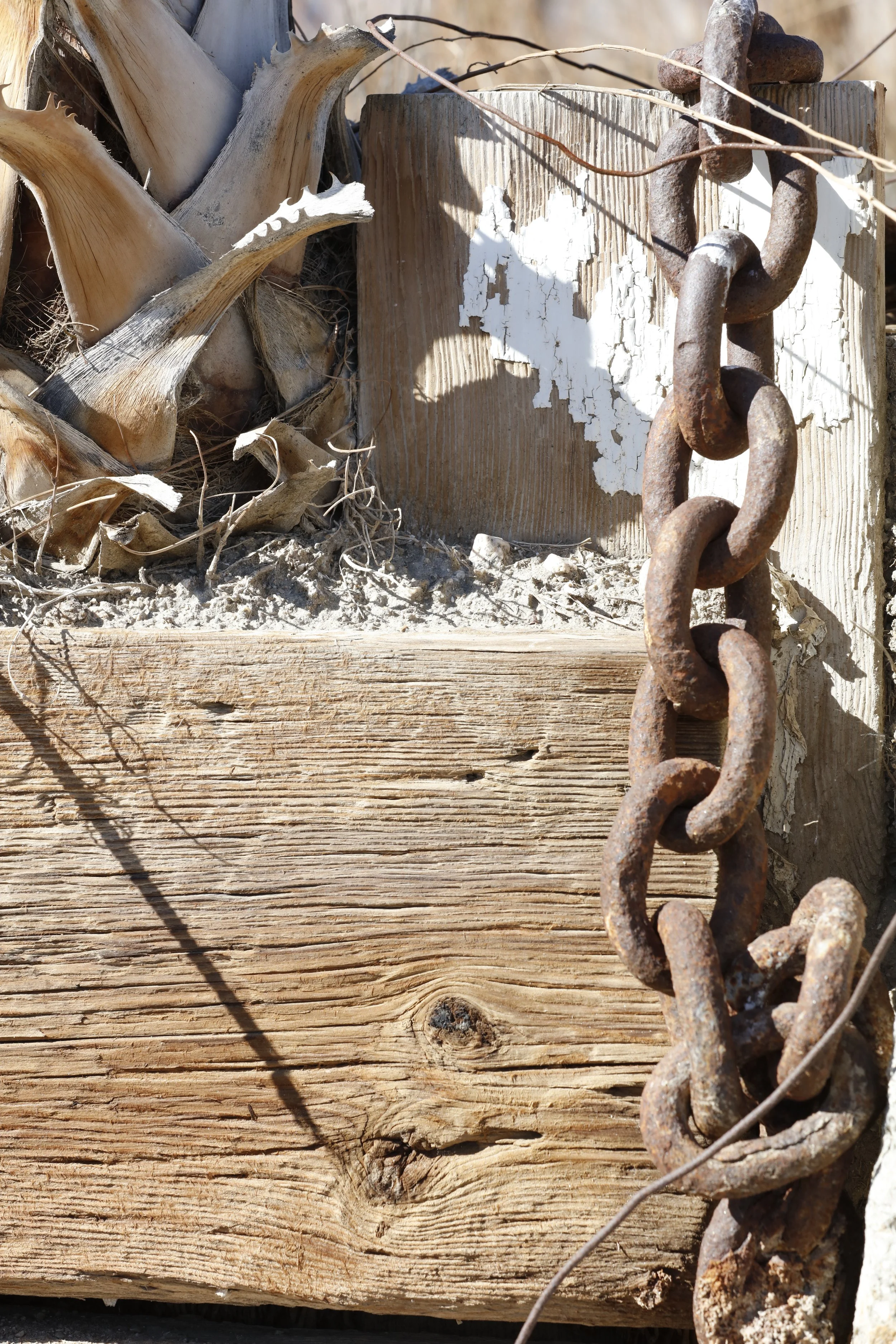 022016_SyncLyte_049.JPG