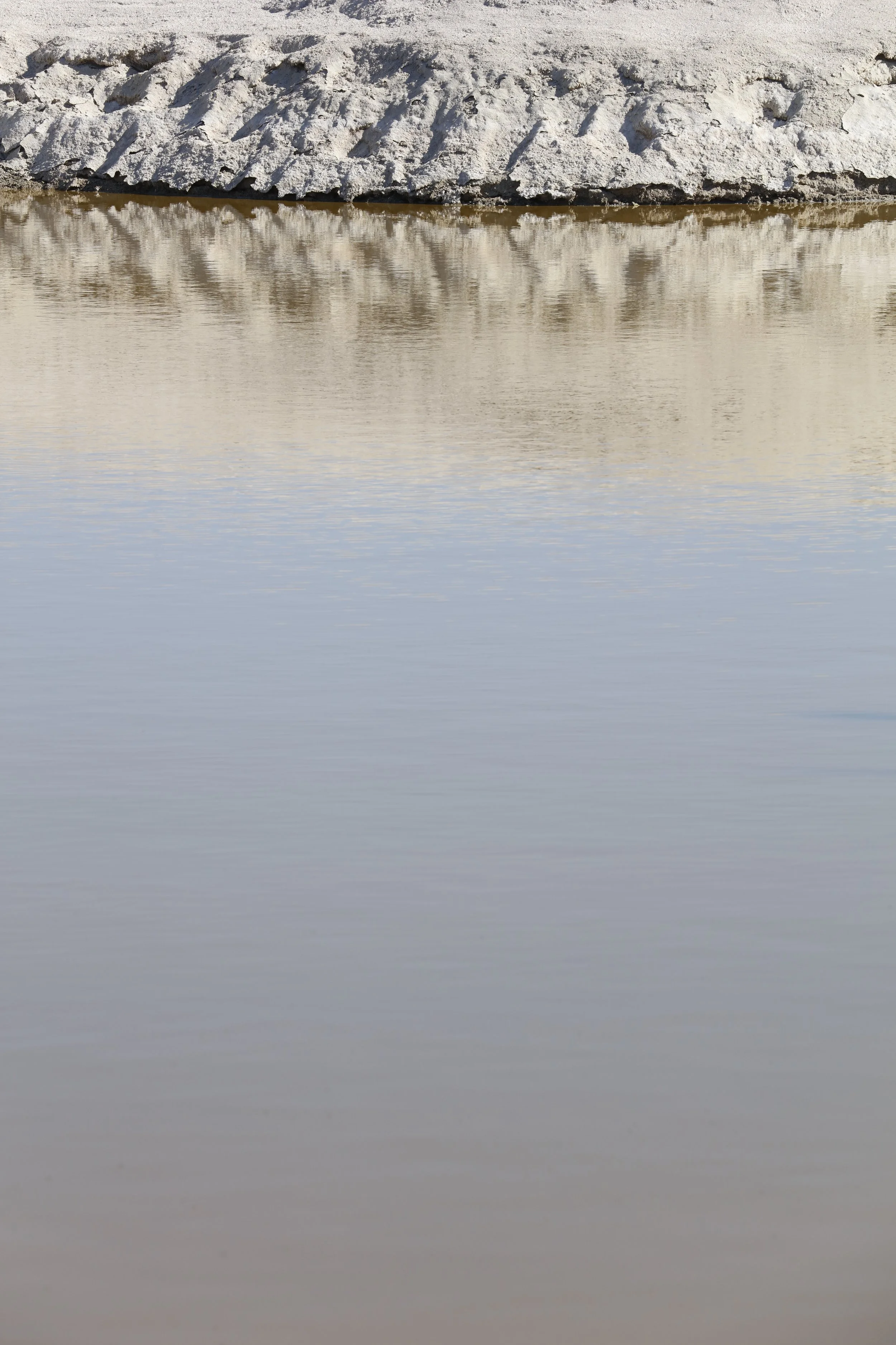 022016_SyncLyte_052.JPG