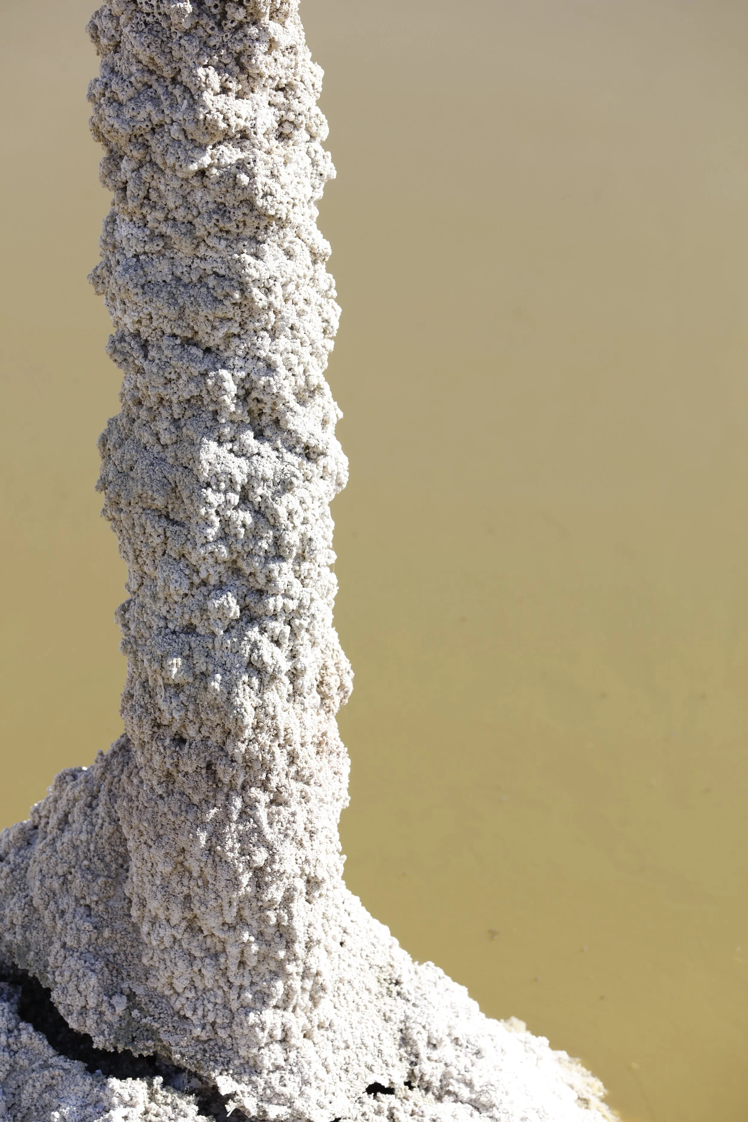 022016_SyncLyte_055.JPG