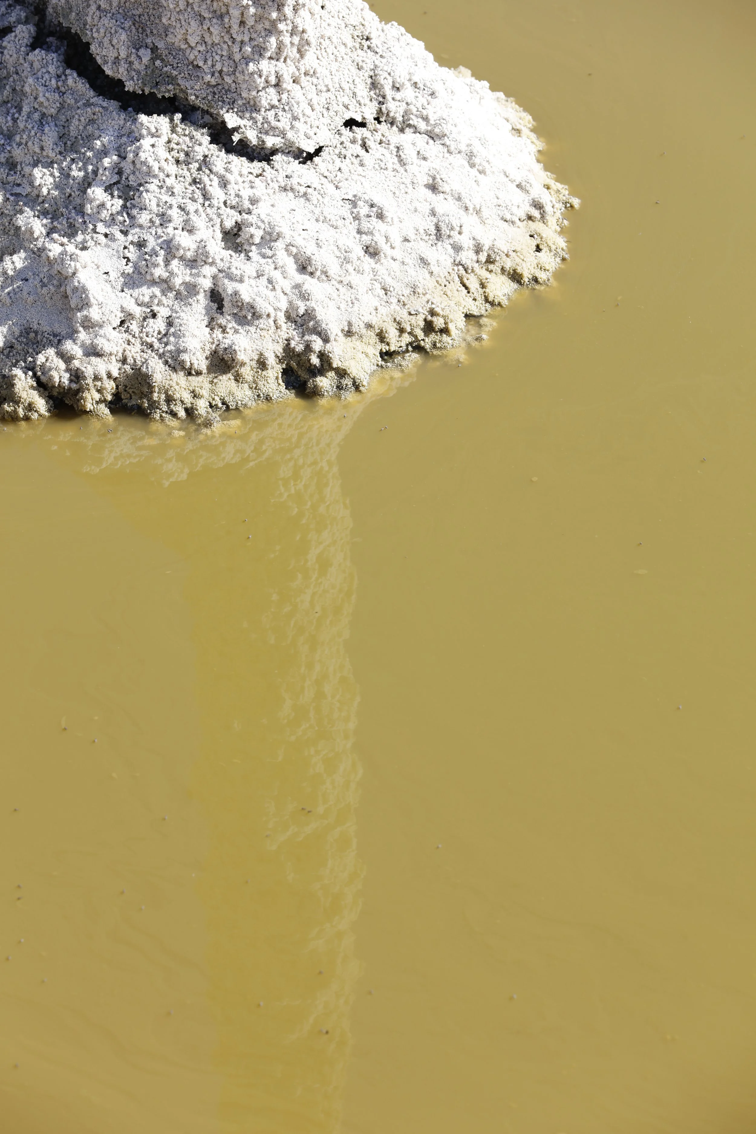 022016_SyncLyte_056.JPG
