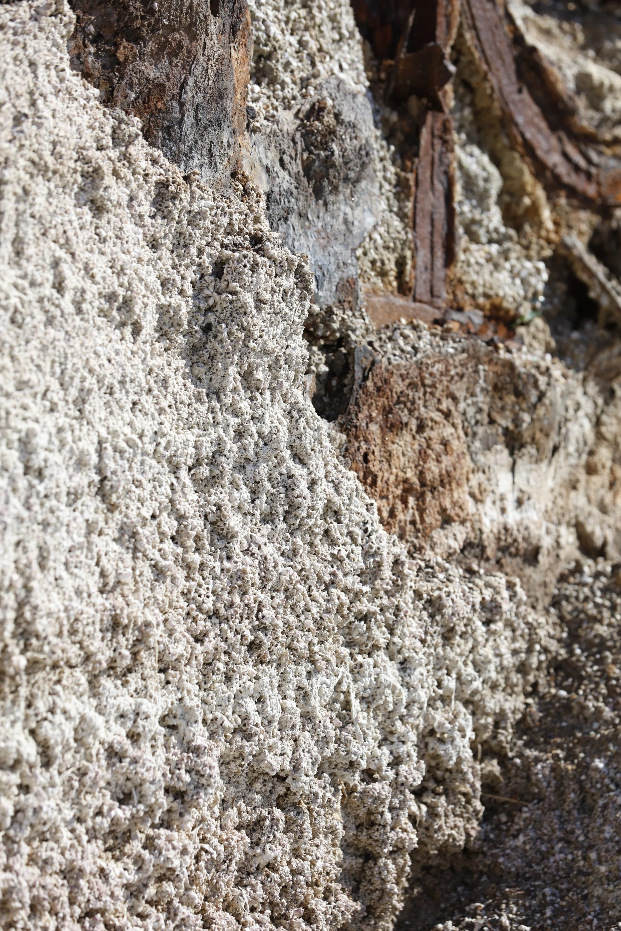 022016_SyncLyte_057.JPG