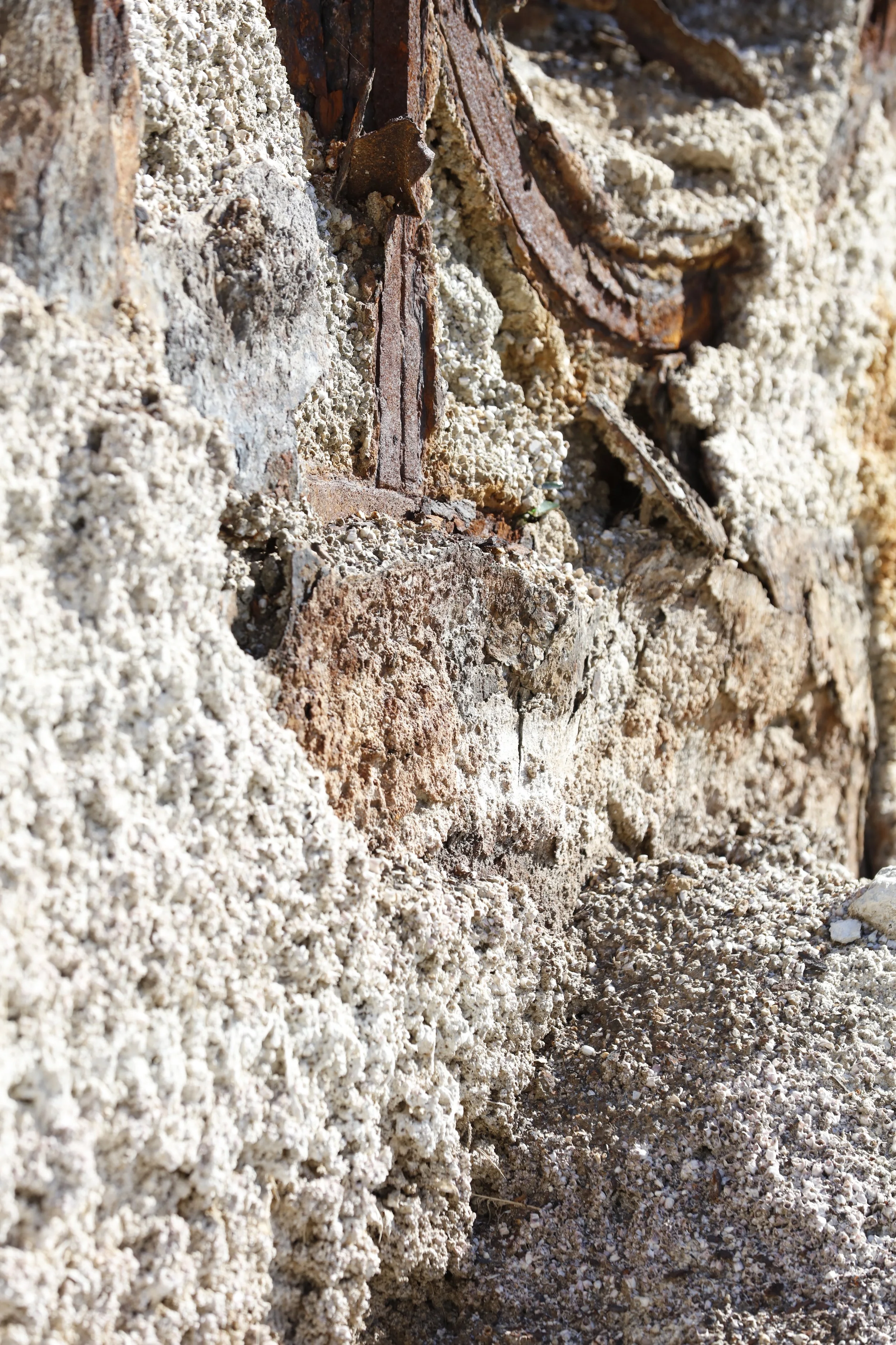 022016_SyncLyte_058.JPG