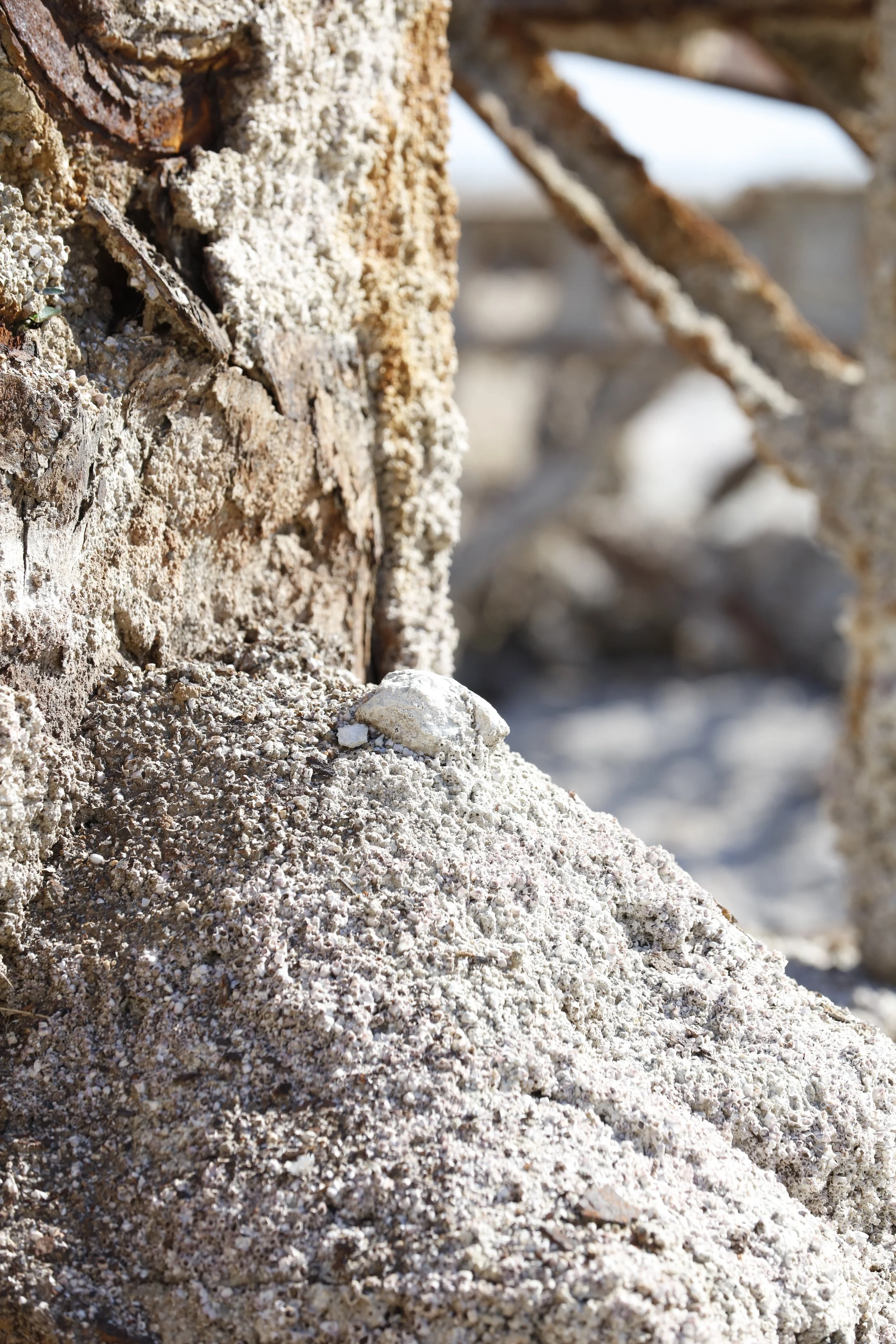 022016_SyncLyte_059.JPG