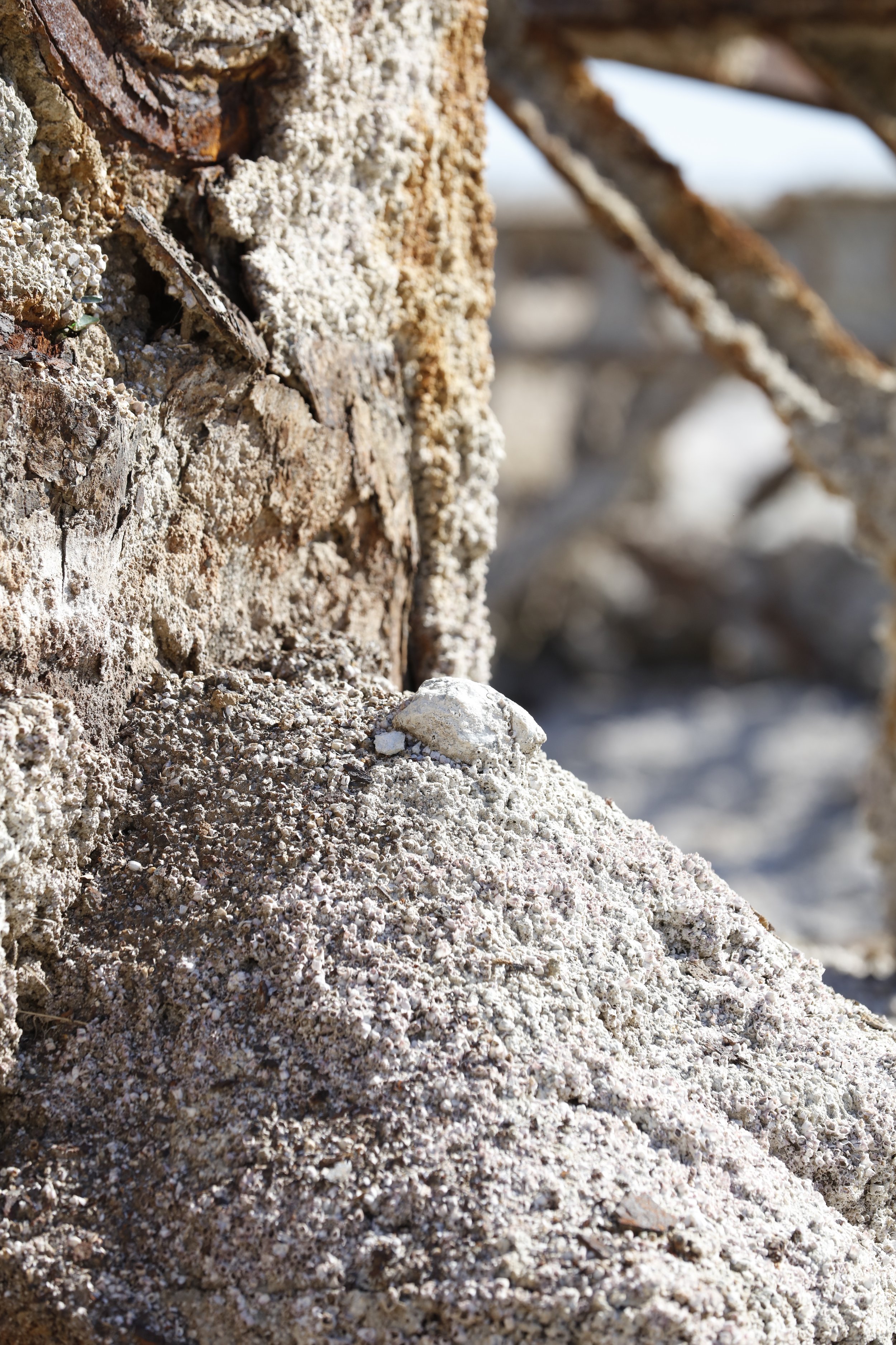 022016_SyncLyte_060.JPG