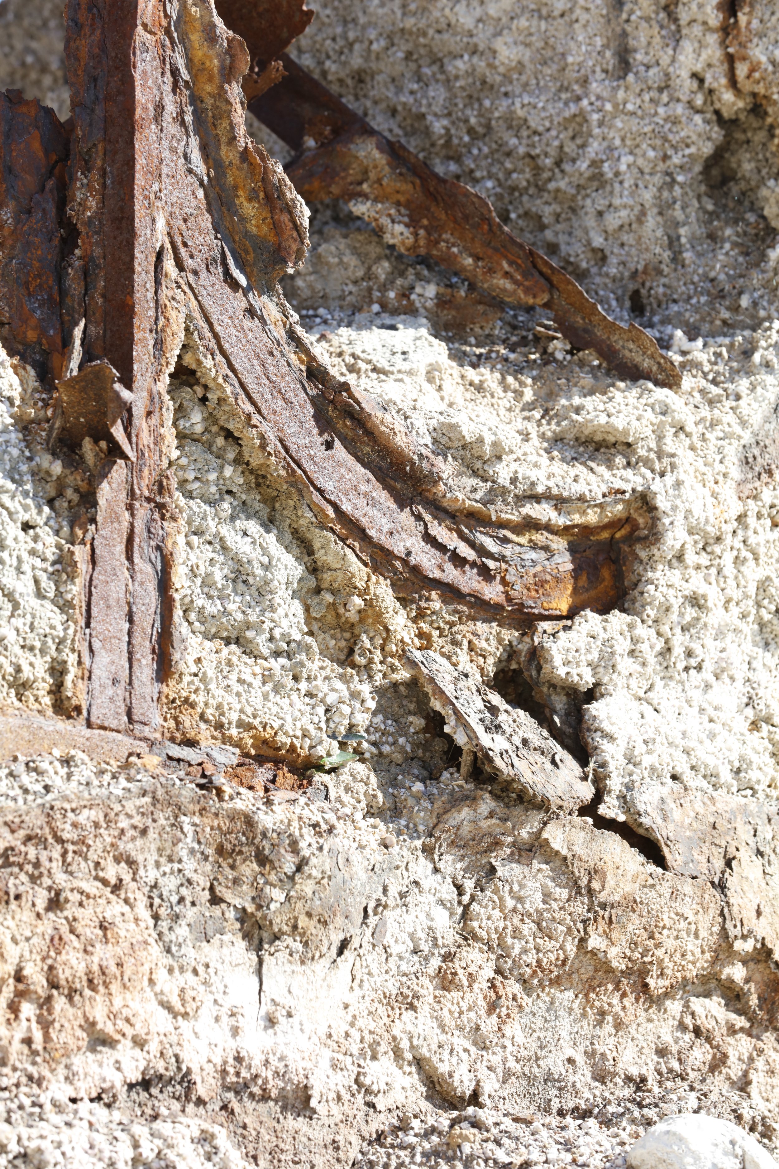 022016_SyncLyte_062.JPG