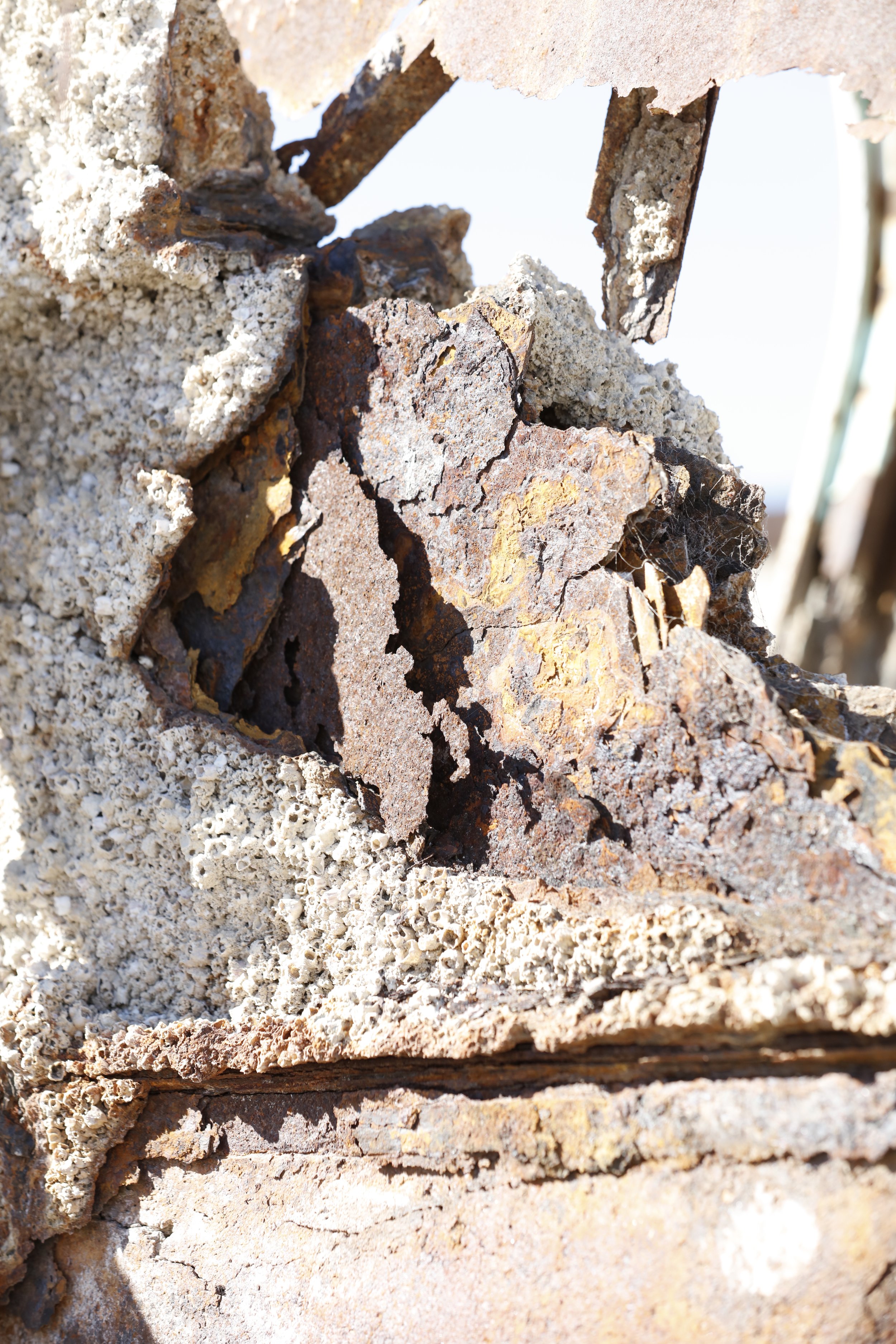 022016_SyncLyte_068.JPG