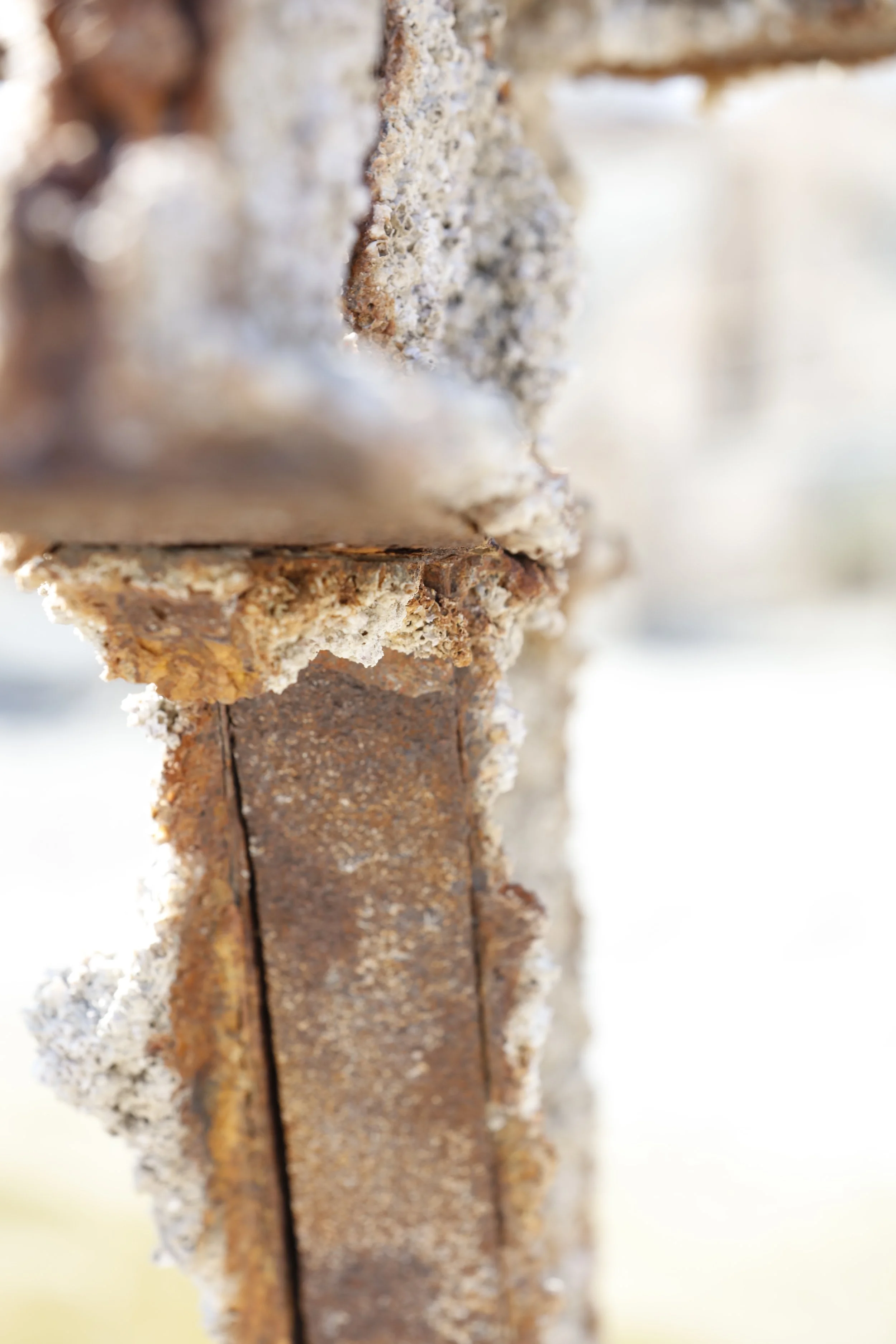 022016_SyncLyte_070.JPG