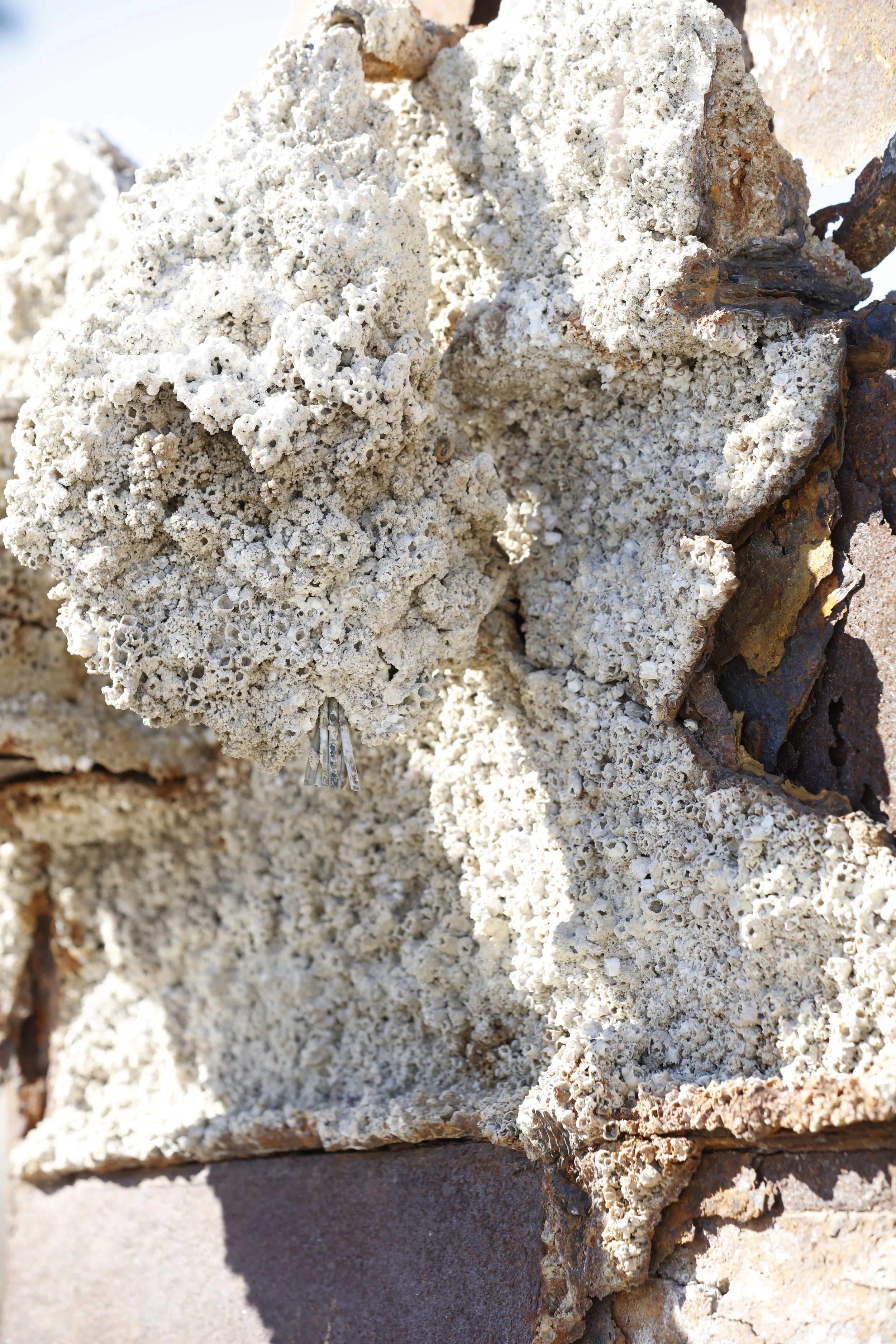 022016_SyncLyte_069.JPG