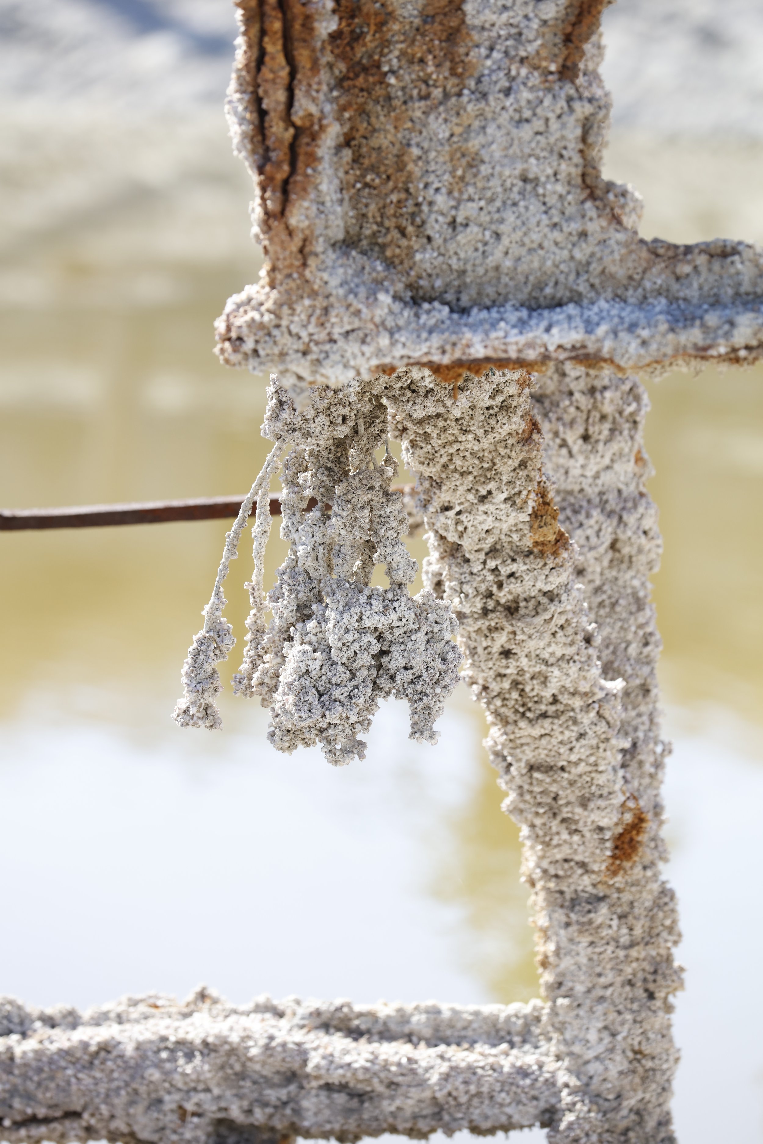 022016_SyncLyte_074.JPG