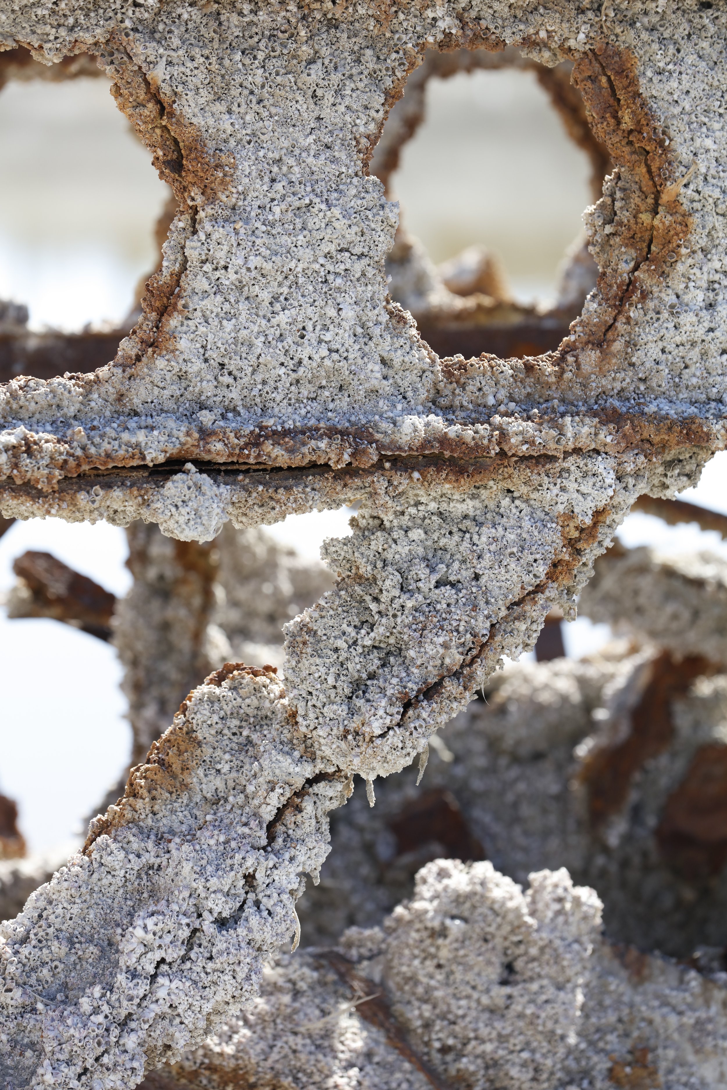 022016_SyncLyte_077.JPG