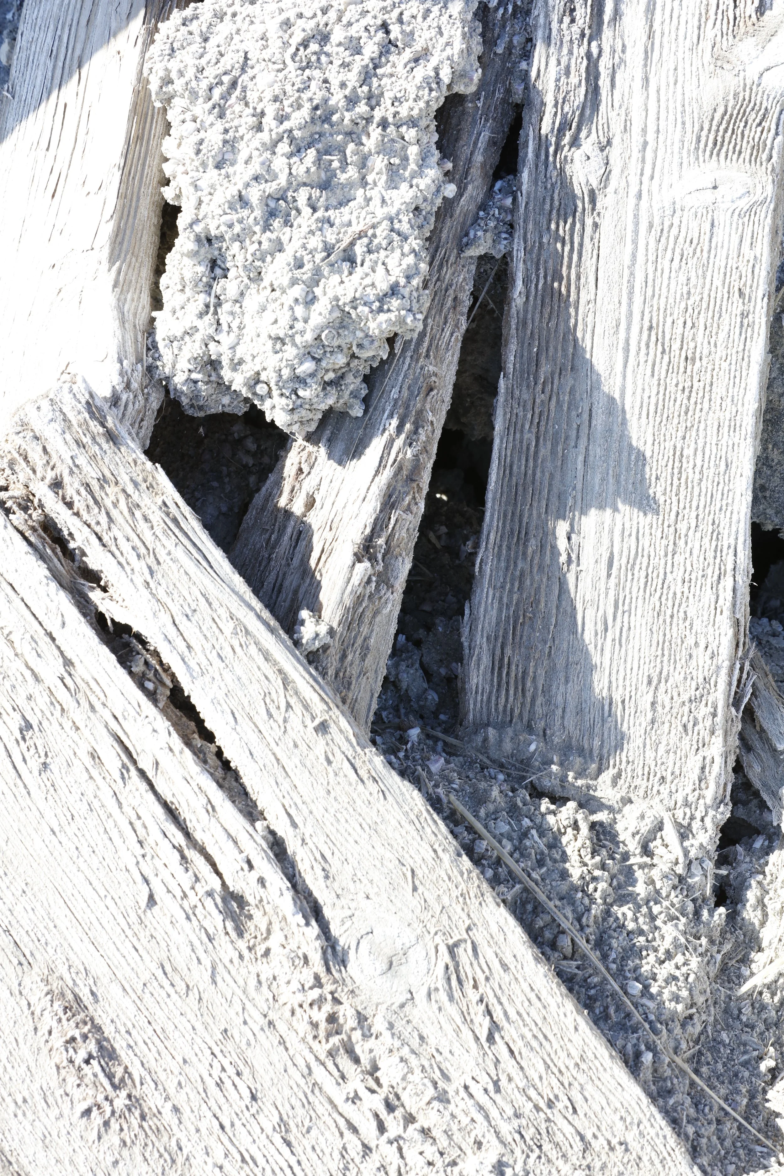 022016_SyncLyte_081.JPG