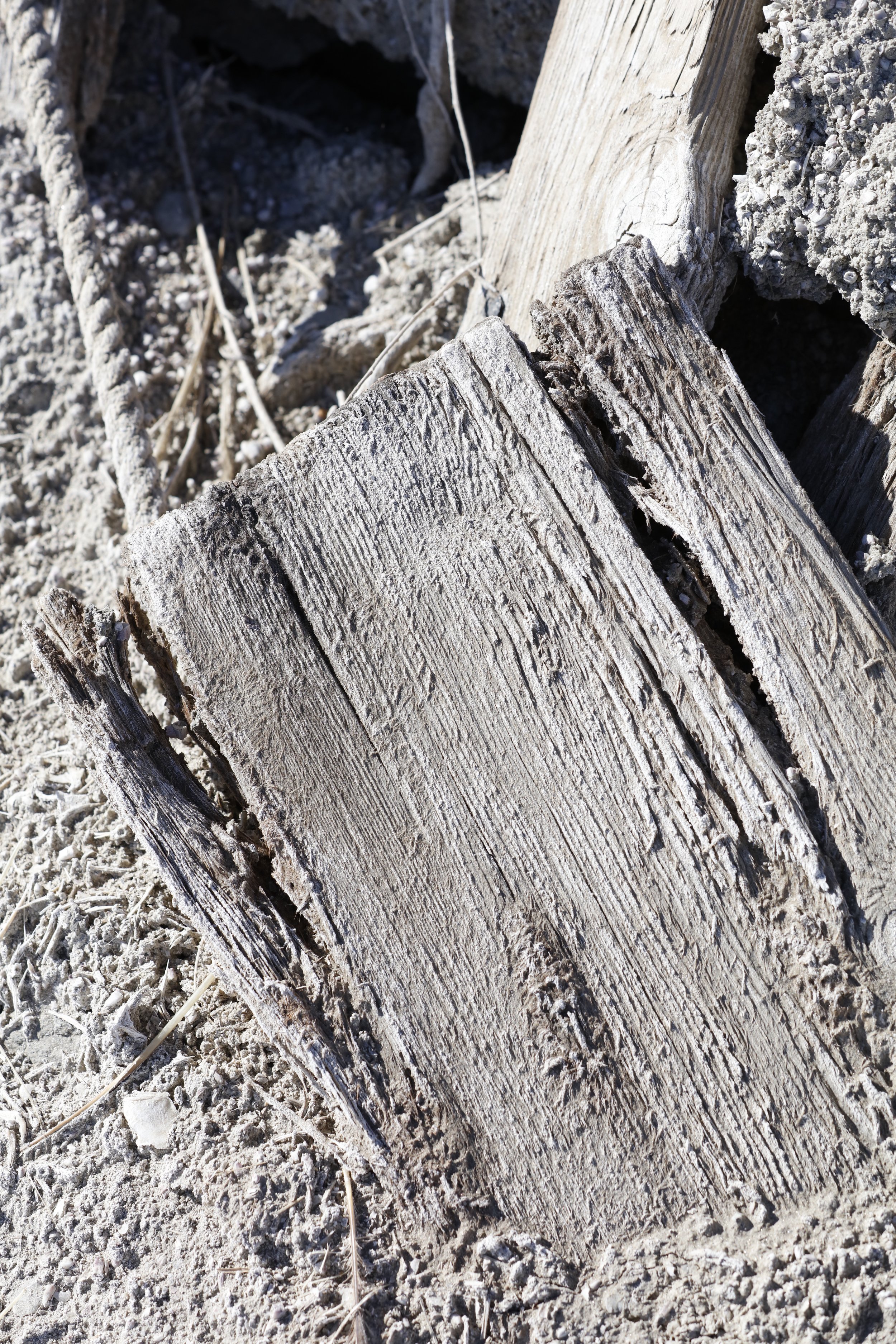 022016_SyncLyte_080.JPG