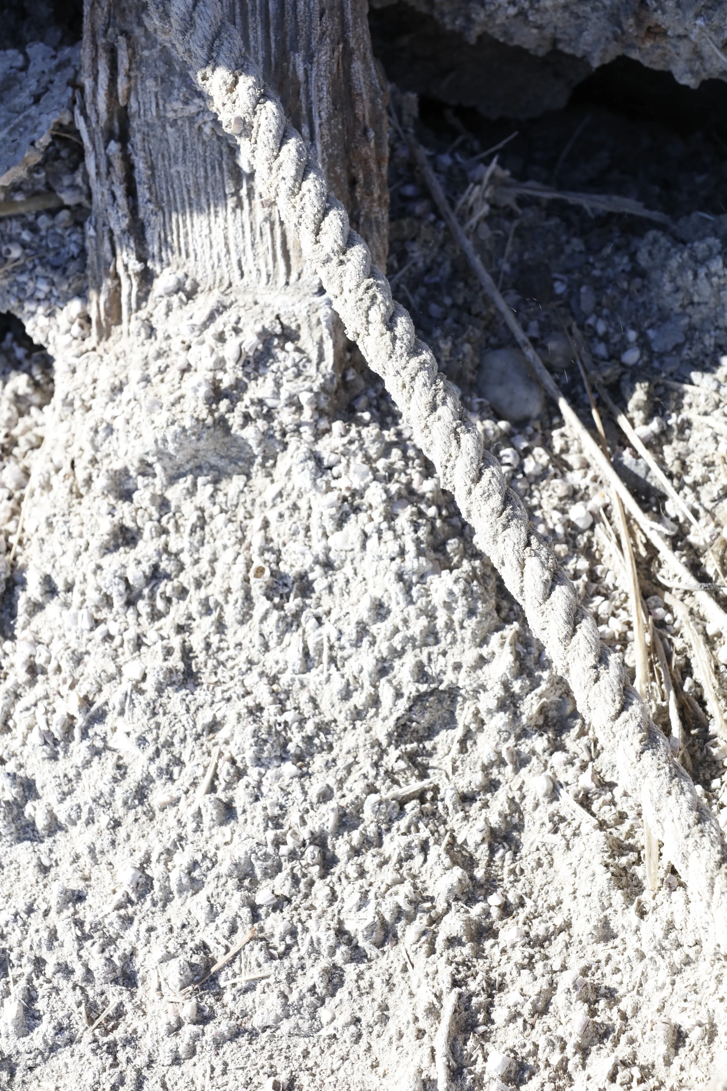 022016_SyncLyte_083.JPG