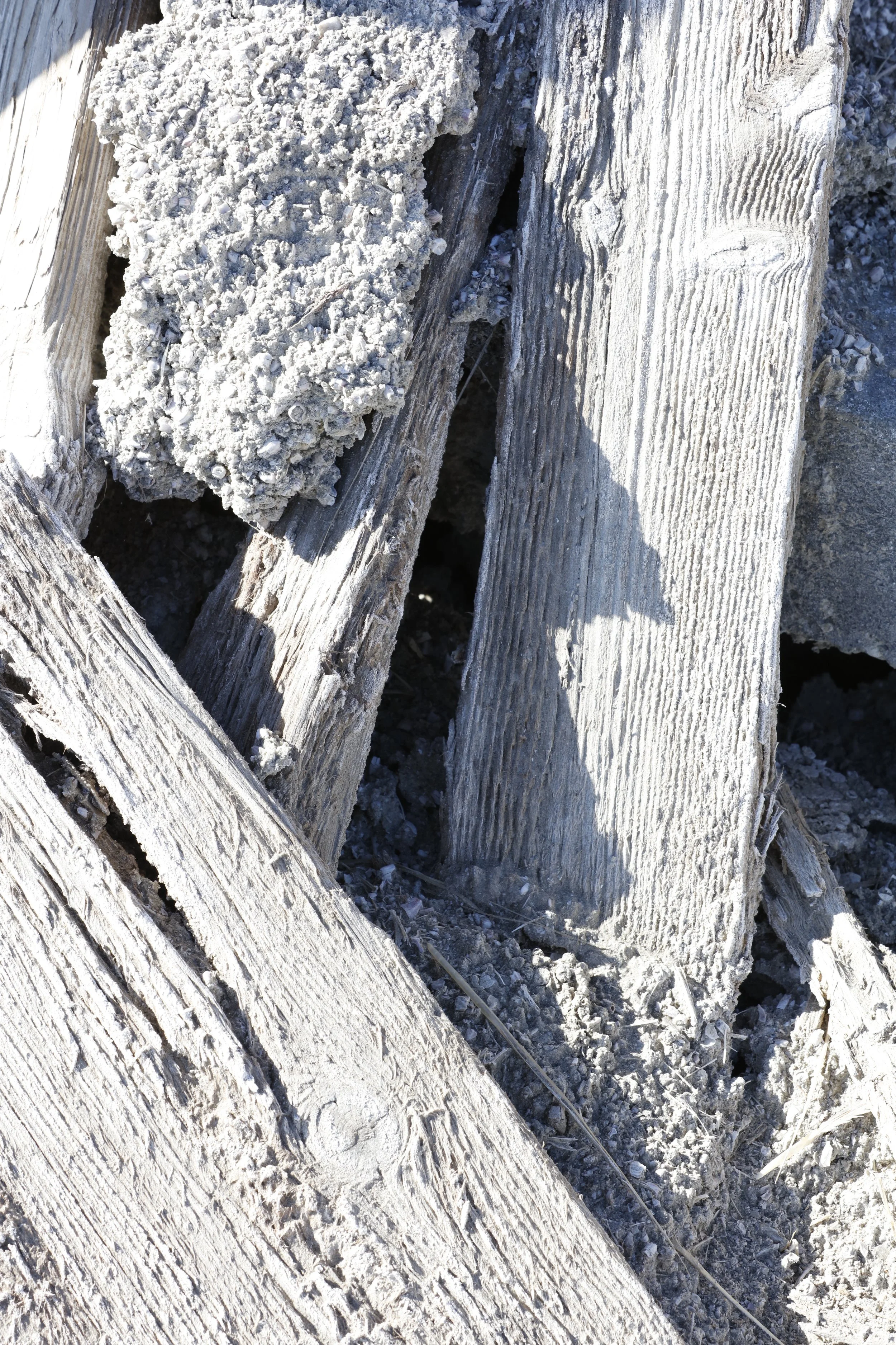 022016_SyncLyte_082.JPG