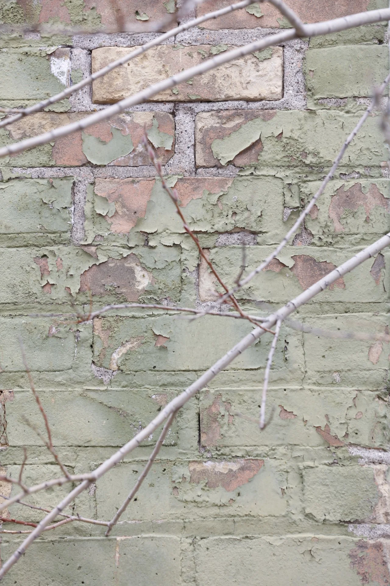 031716_SyncLyte_046.JPG