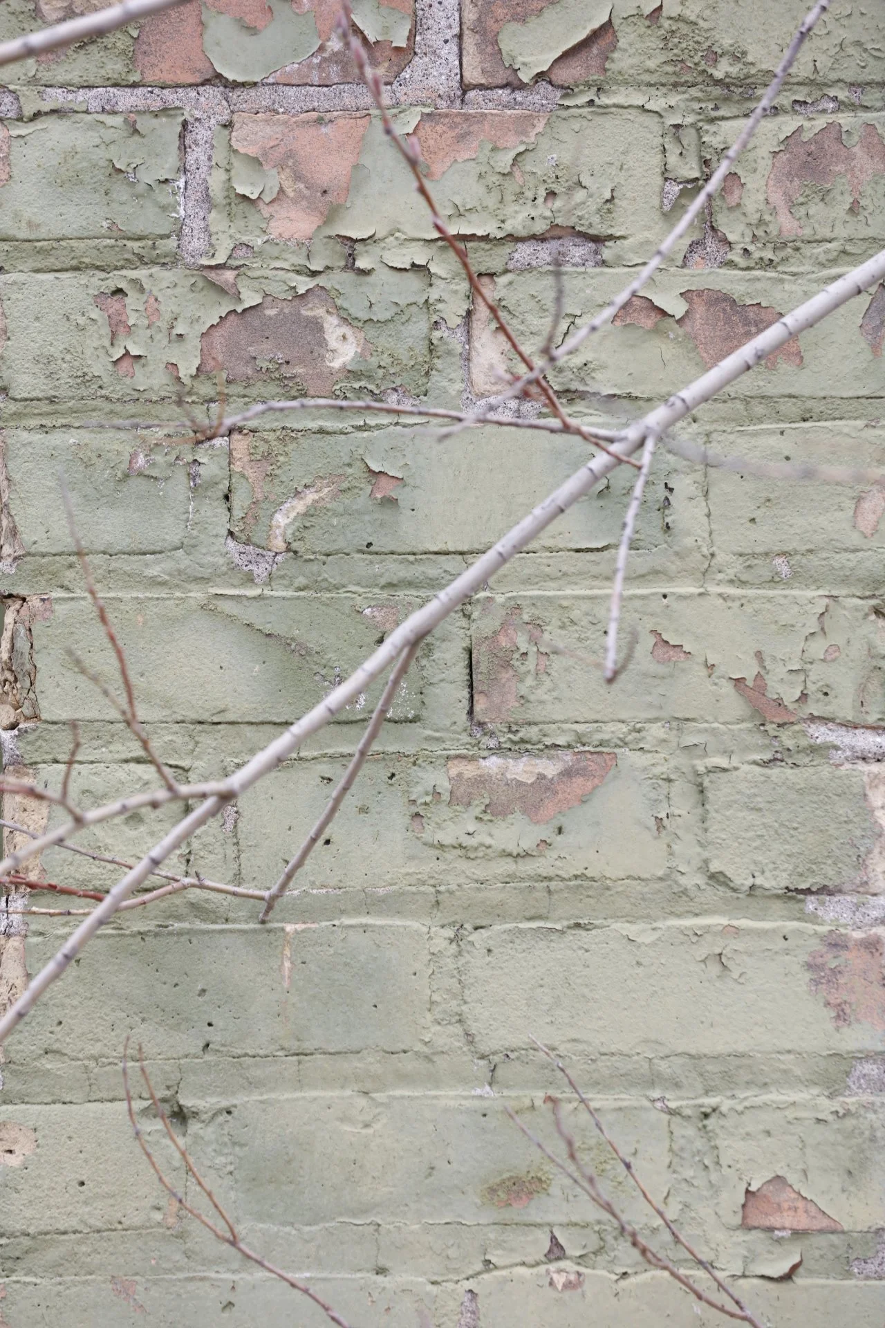 031716_SyncLyte_047.JPG