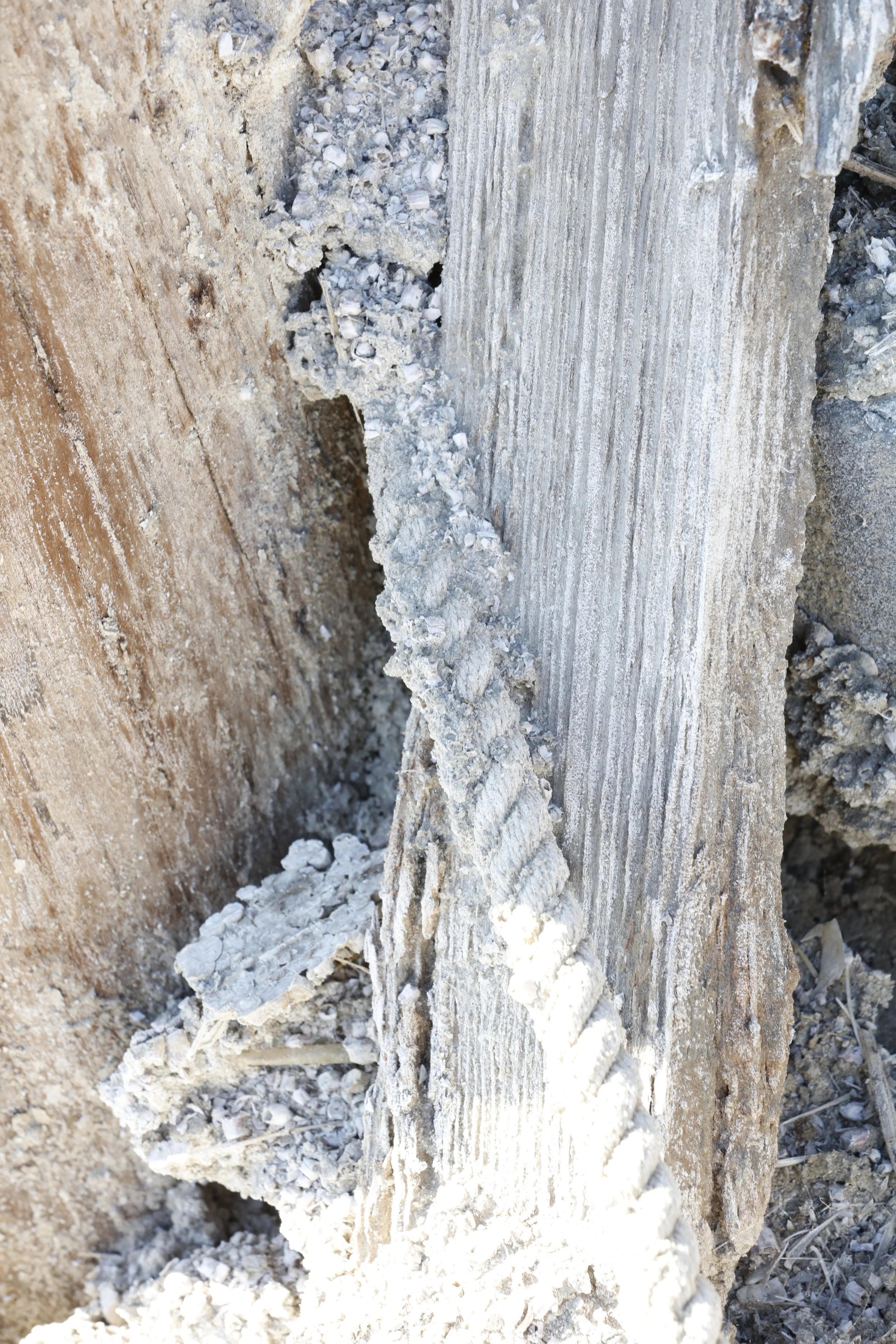 022016_SyncLyte_084.JPG
