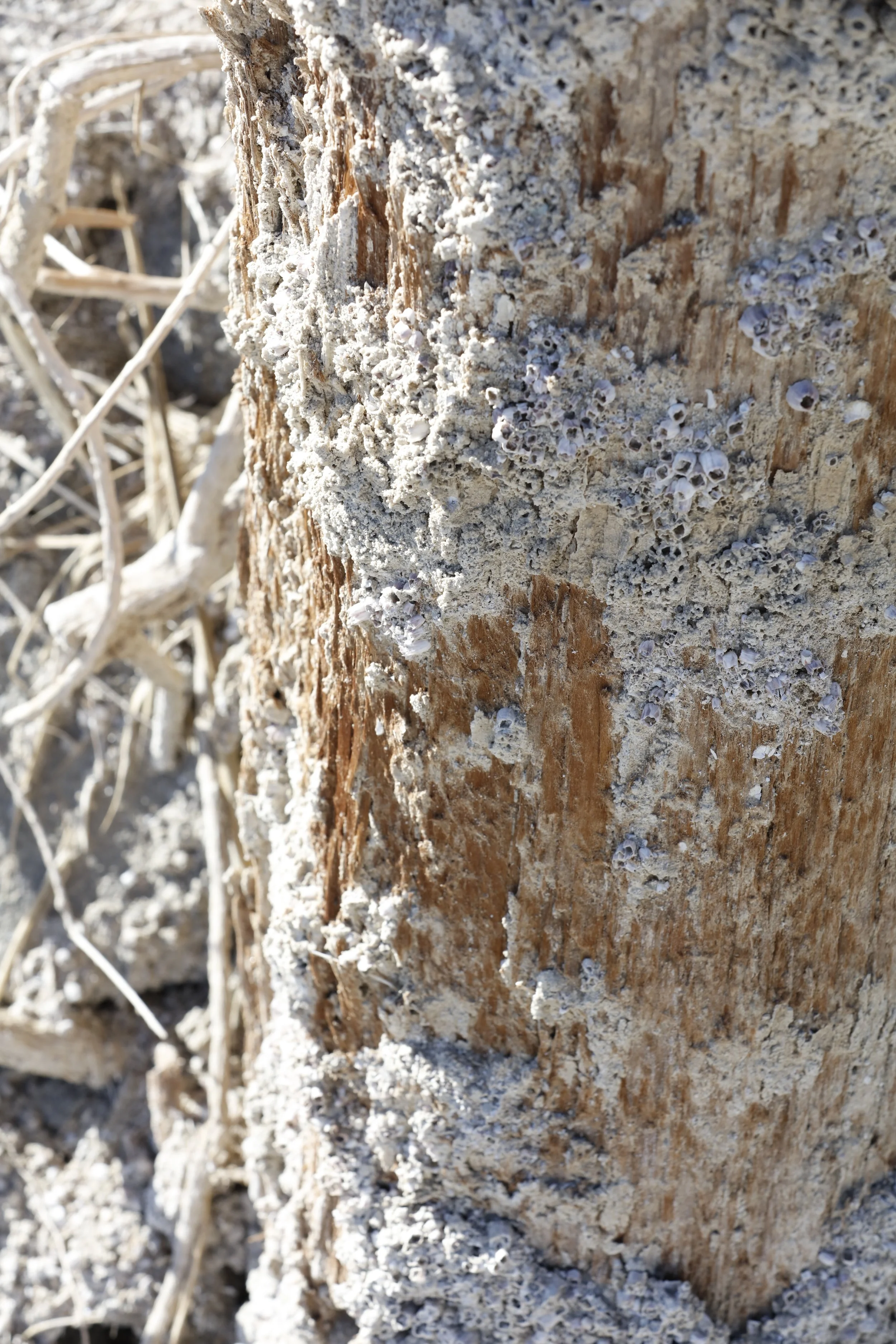 022016_SyncLyte_085.JPG