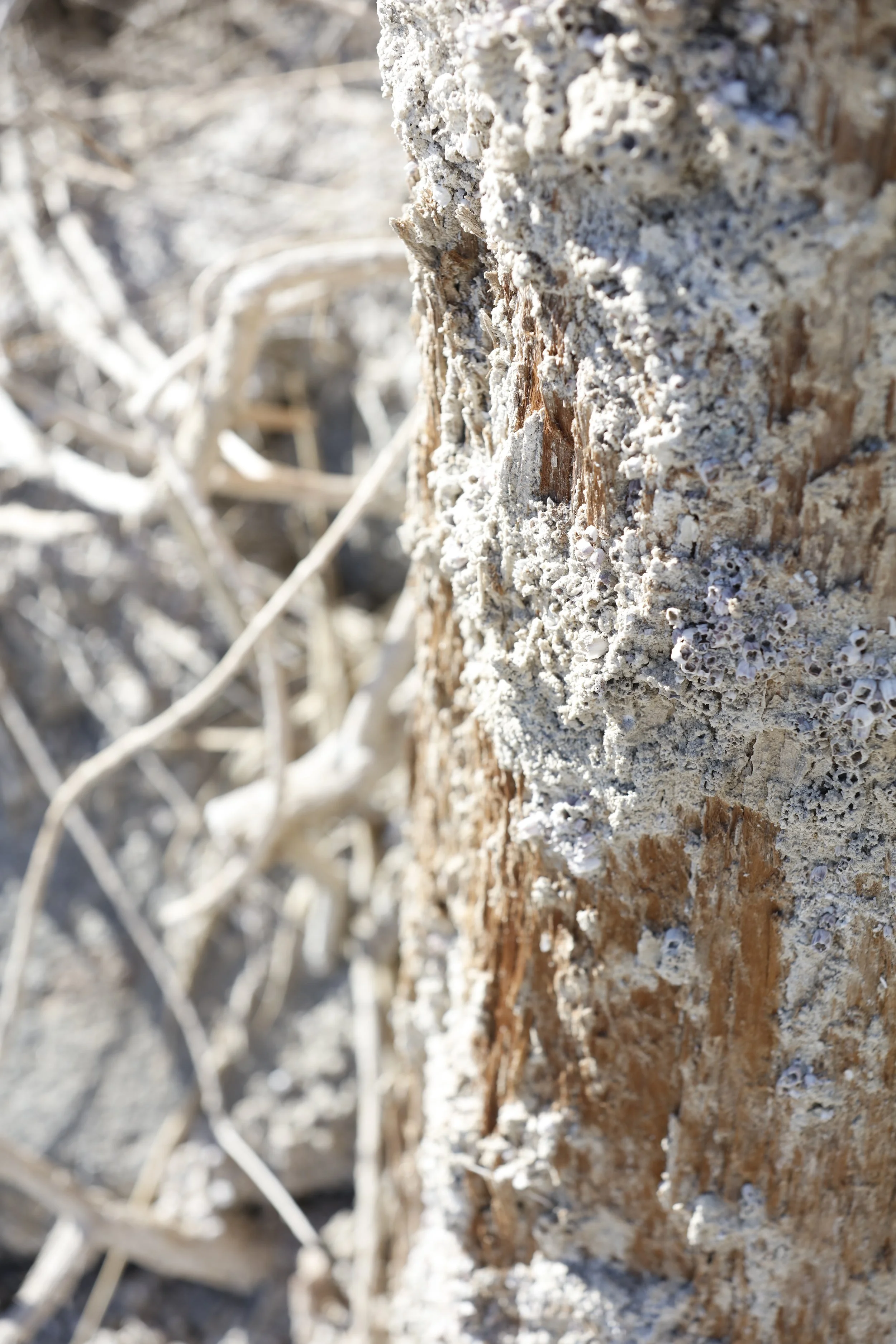 022016_SyncLyte_086.JPG