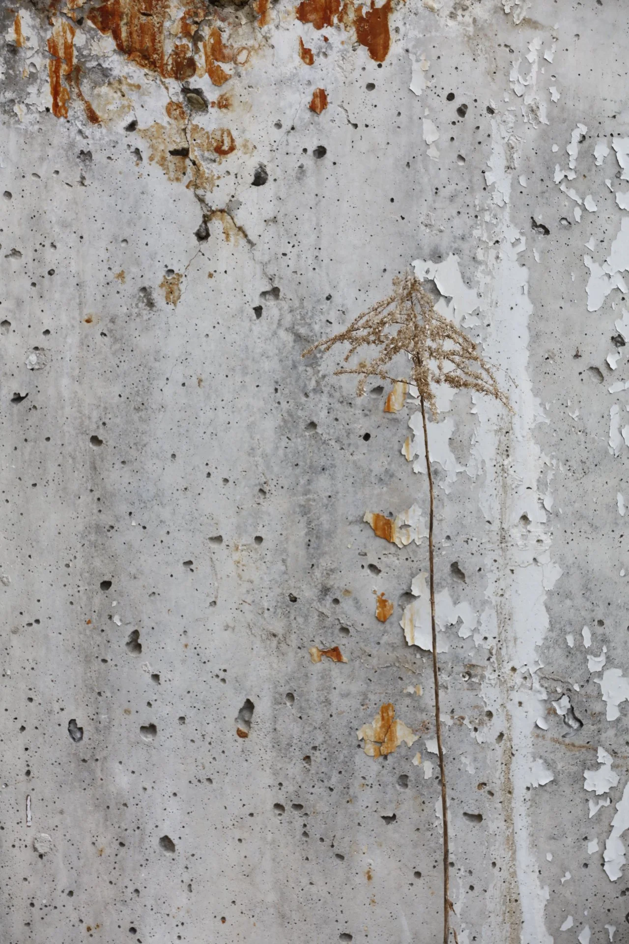 031716_SyncLyte_059.JPG