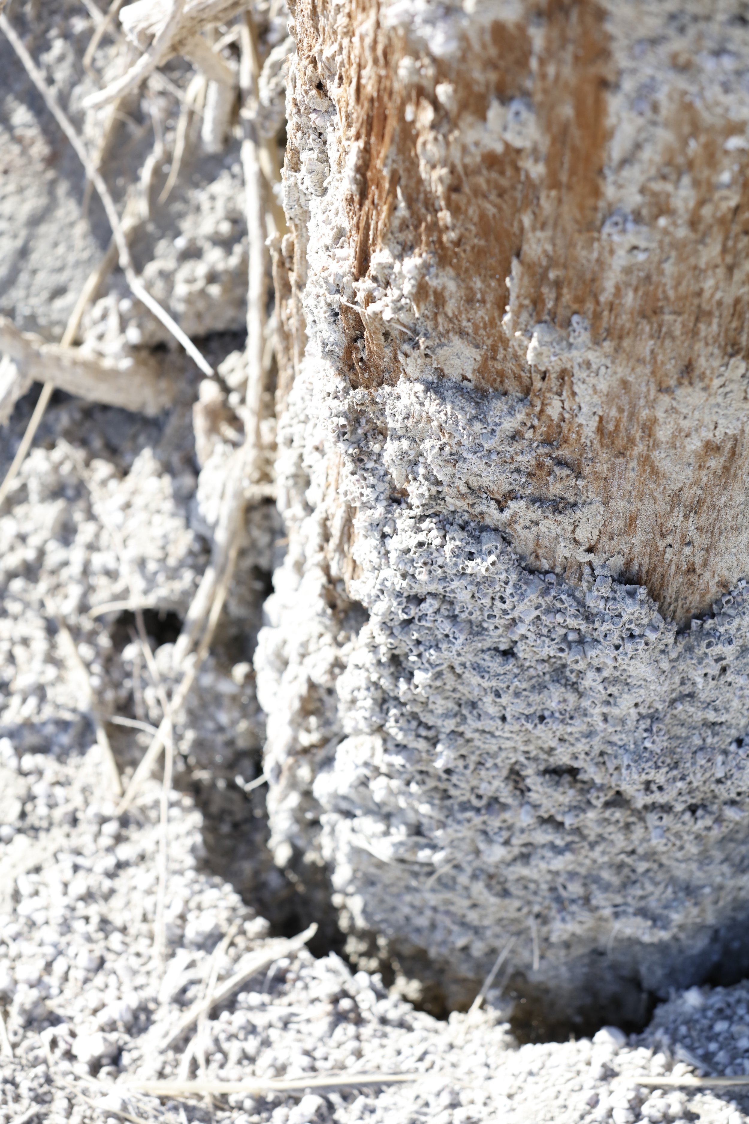 022016_SyncLyte_087.JPG