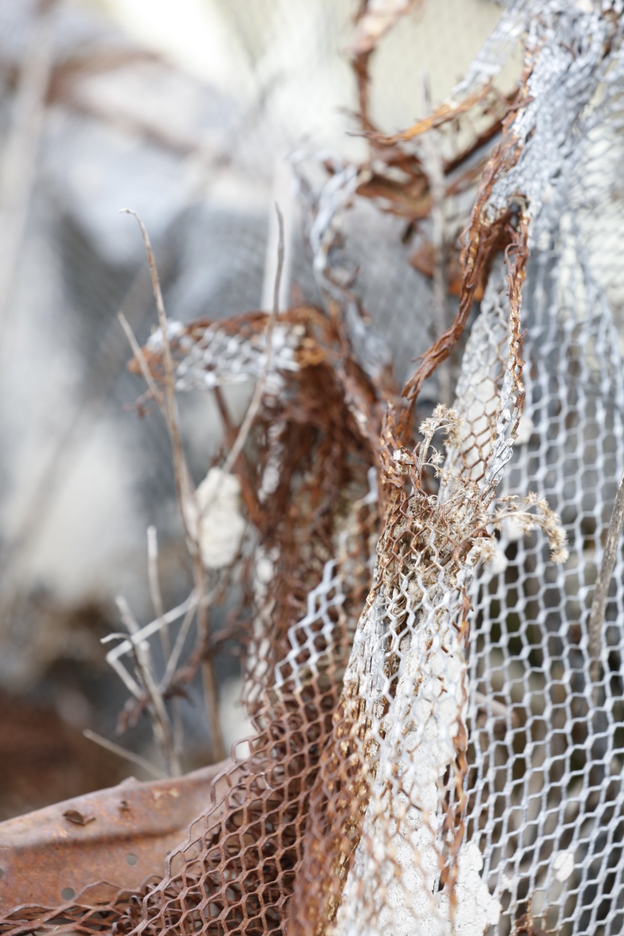 031716_SyncLyte_062.JPG