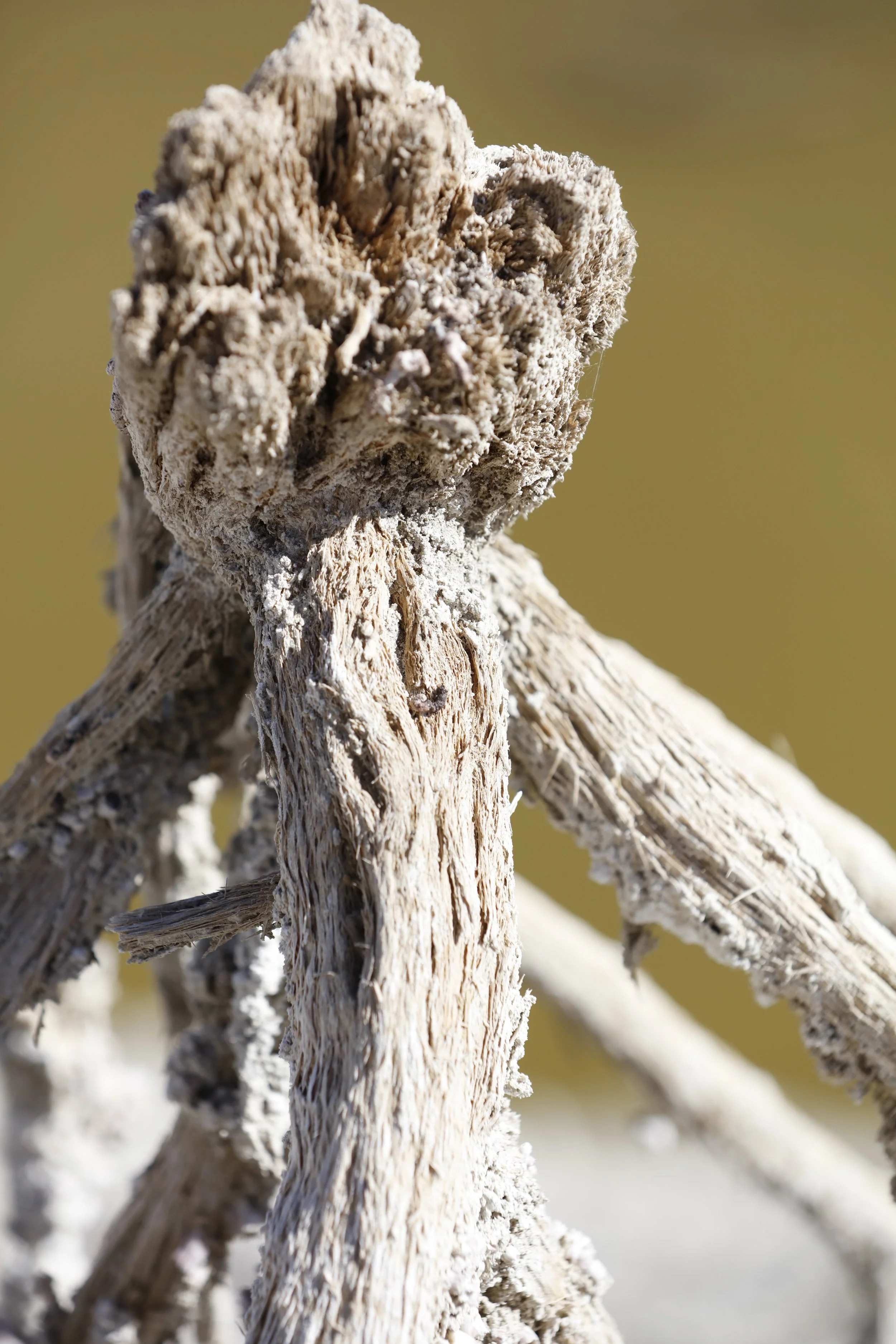 022016_SyncLyte_089.JPG