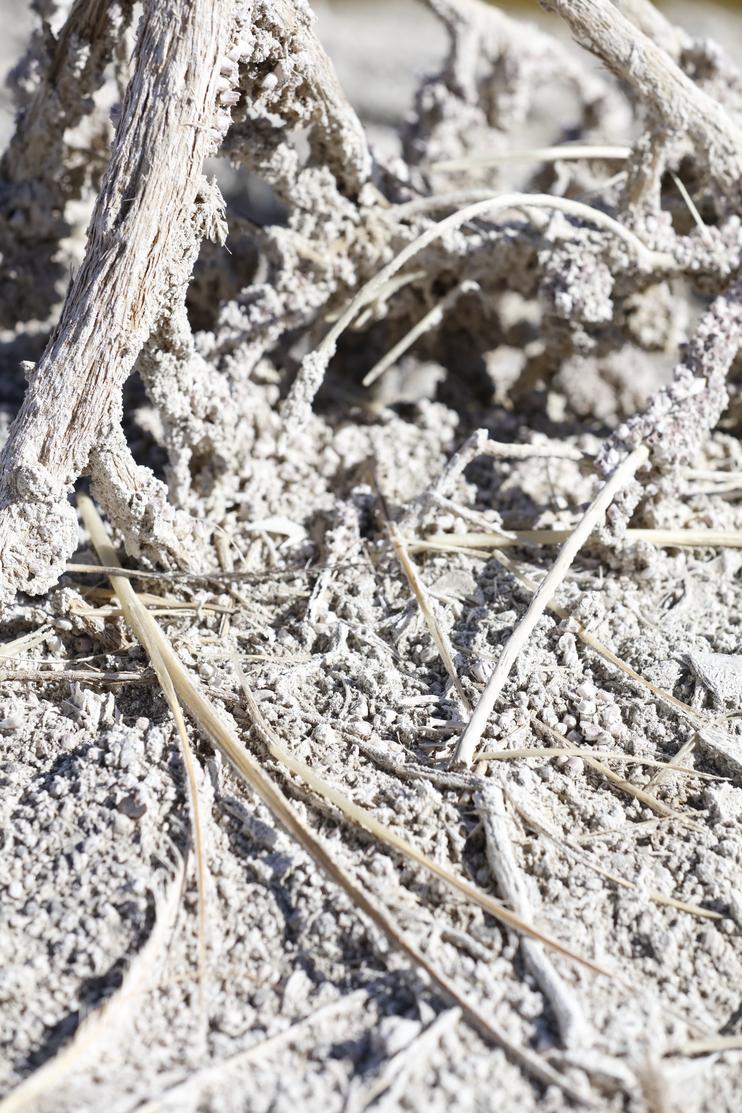 022016_SyncLyte_088.JPG