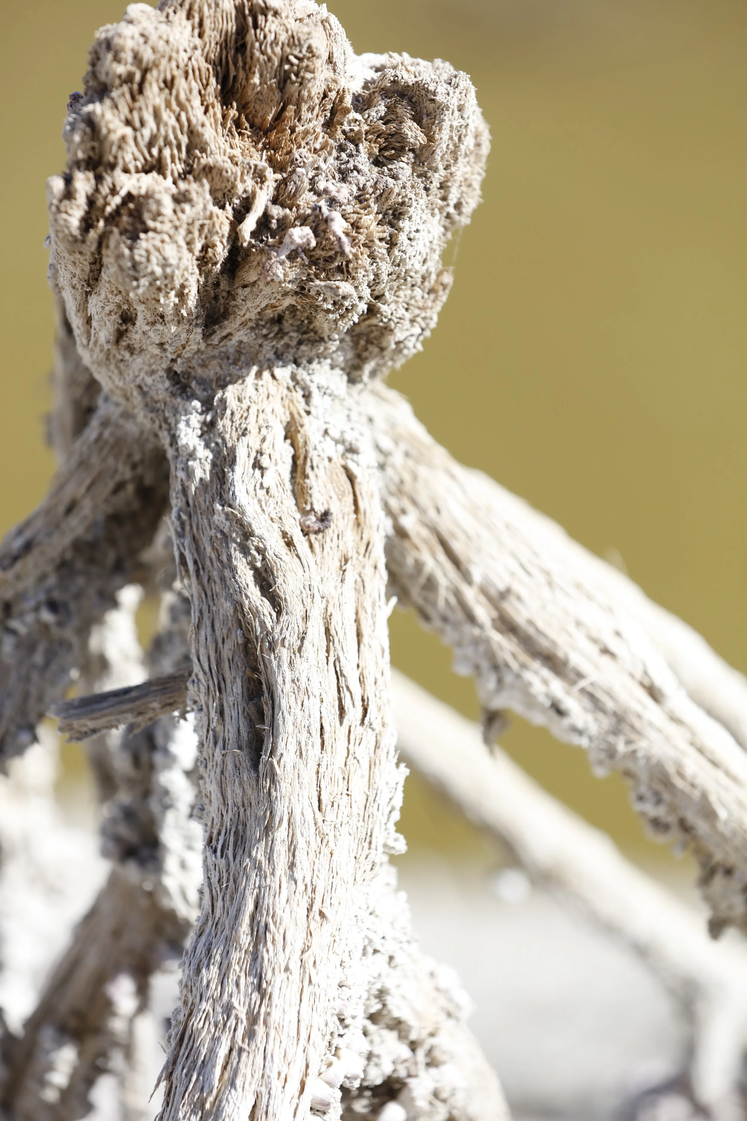 022016_SyncLyte_090.JPG