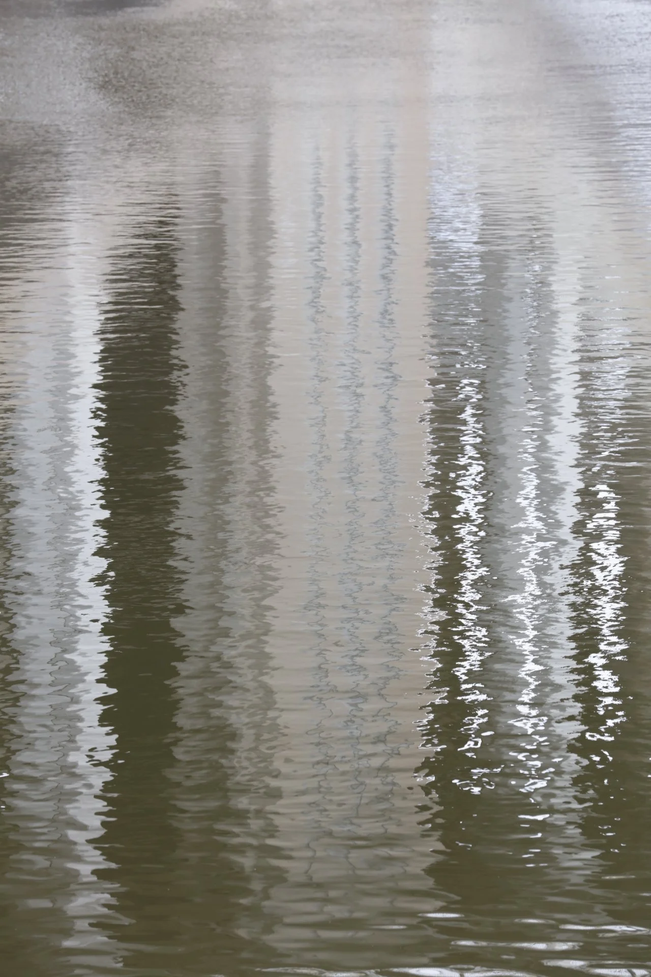031716_SyncLyte_089.JPG