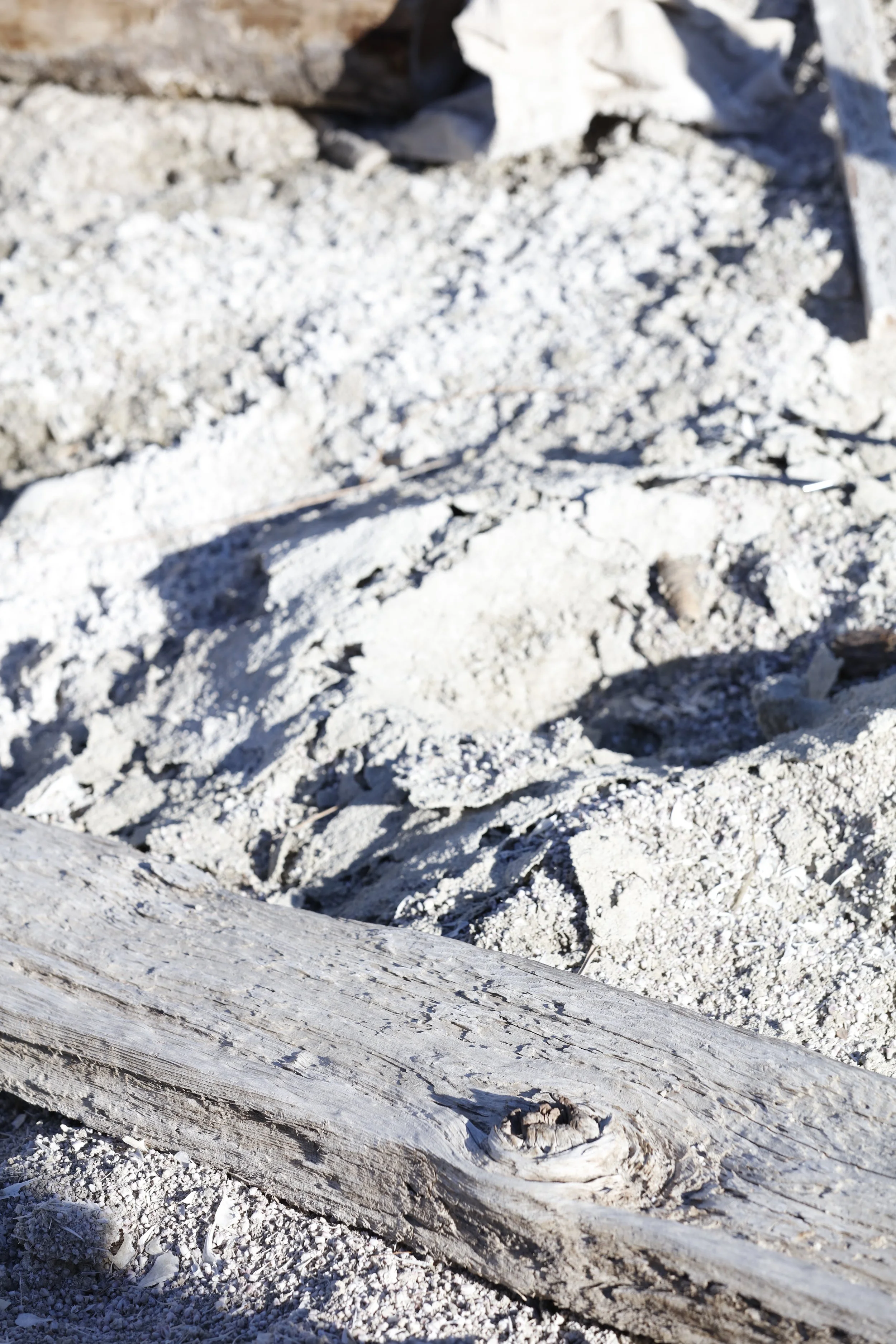 022016_SyncLyte_095.JPG