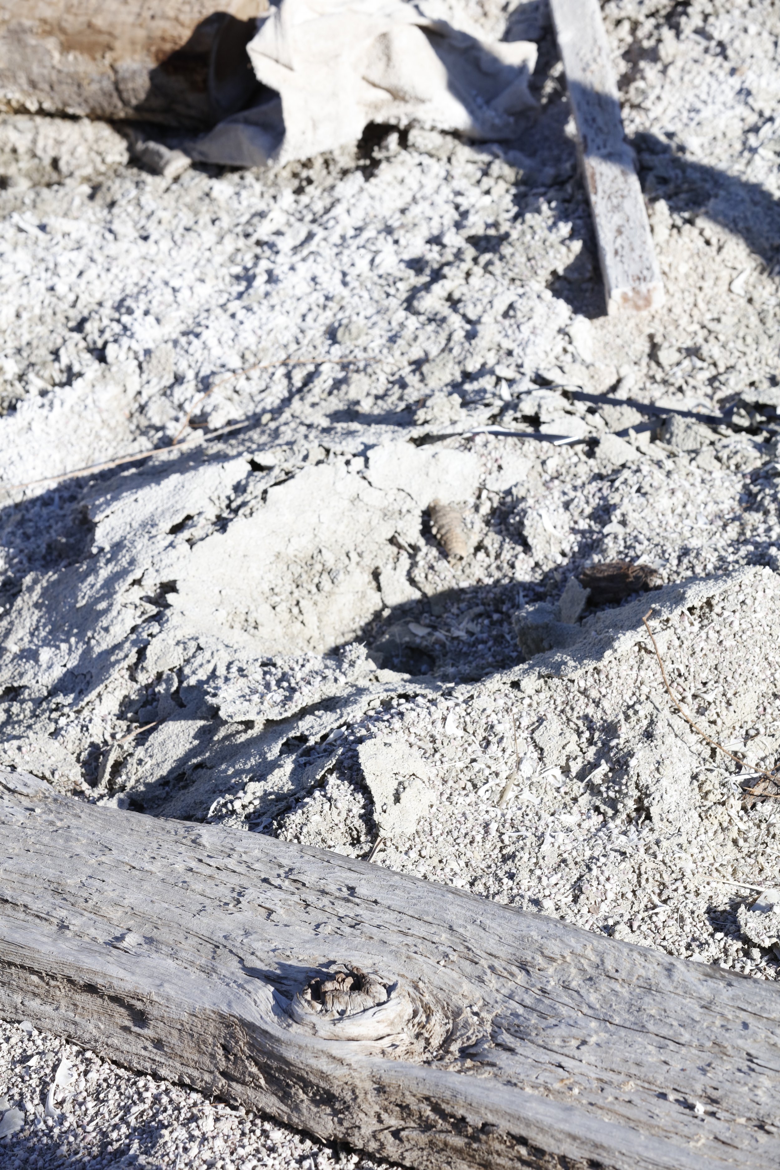 022016_SyncLyte_096.JPG